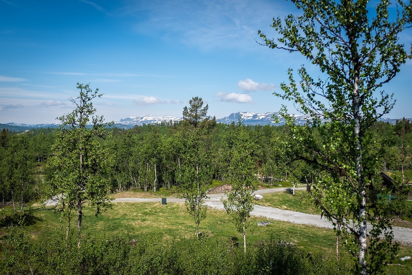 Området – sommer Galleribilde