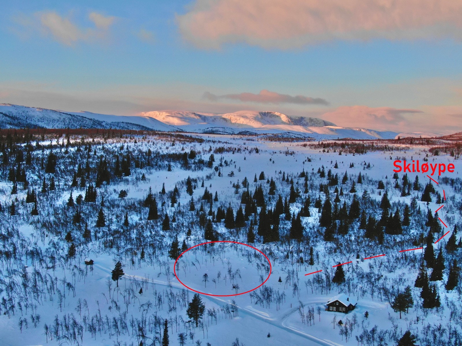 Lokal Eiendomsmegler MNEF/Partner/Økonom Ådne Holestøl Hognerud har gleden av å presentere Hingsavegen 125. Den stiplede linjen viser tilkommer trase opp til skiløypen. Galleribilde