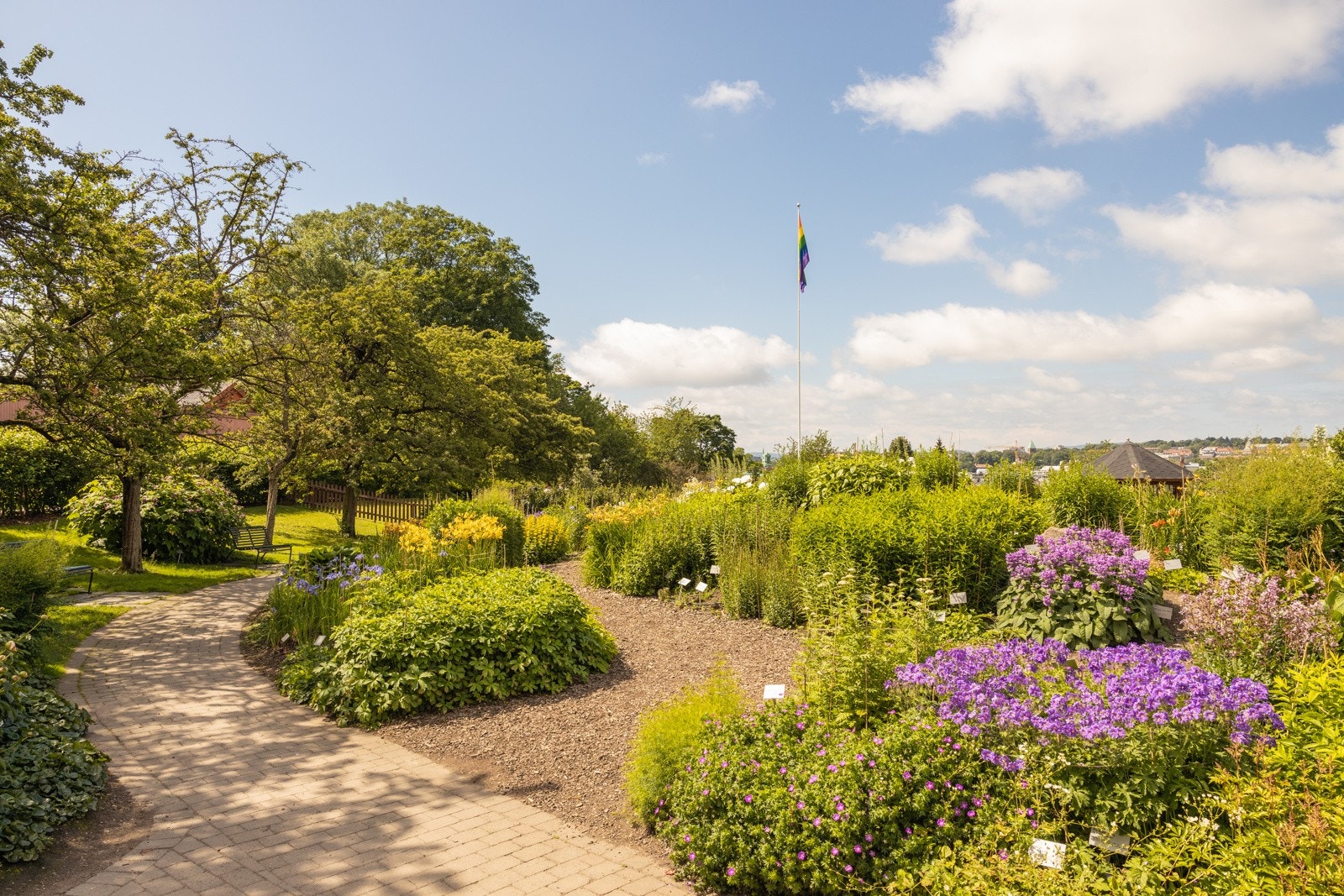 Botanisk Hage. Galleribilde