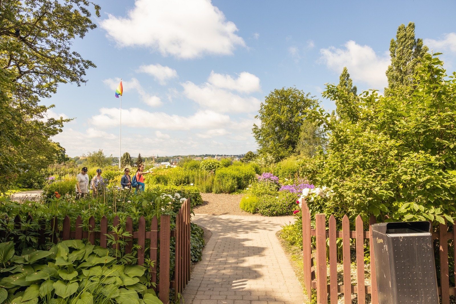 Botanisk Hage. Galleribilde