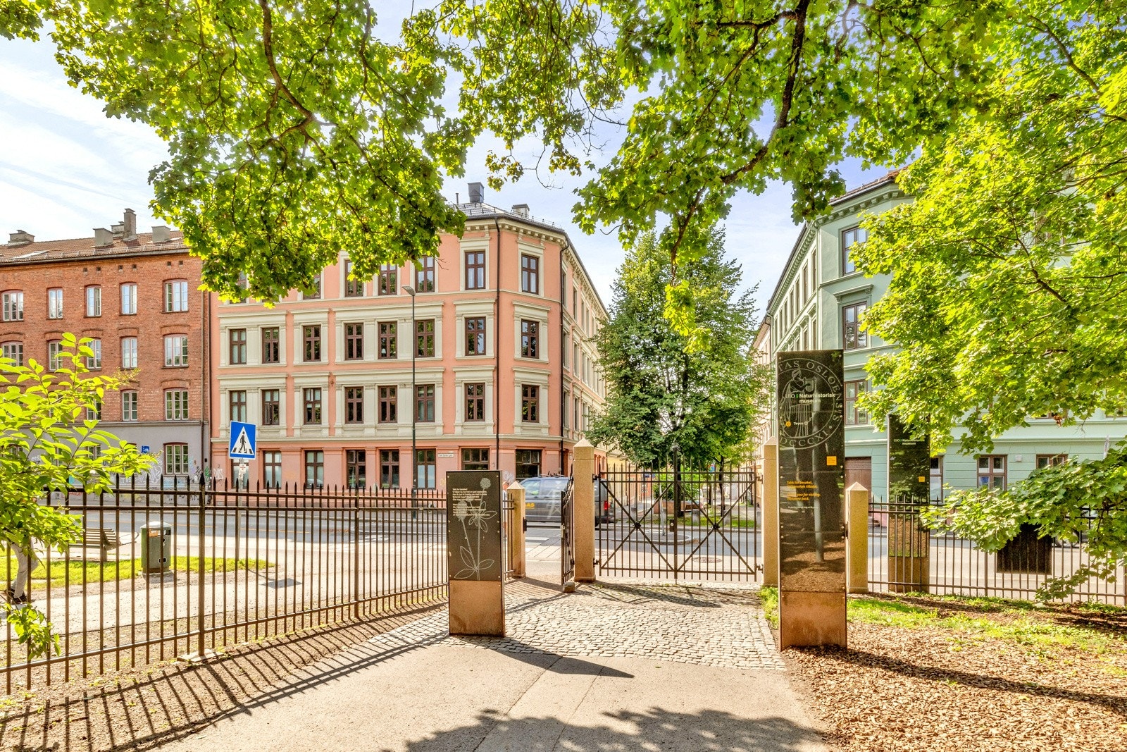 Områdebilde. Galleribilde