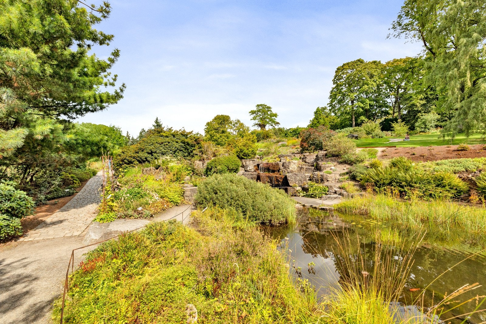 Botanisk Hage. Galleribilde