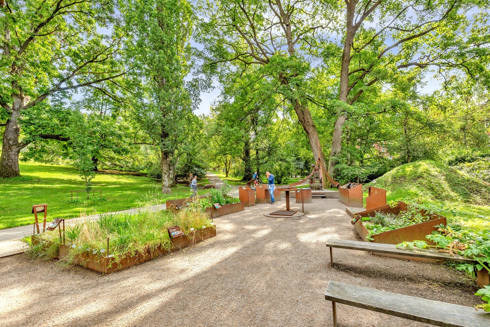 Botanisk Hage. Galleribilde