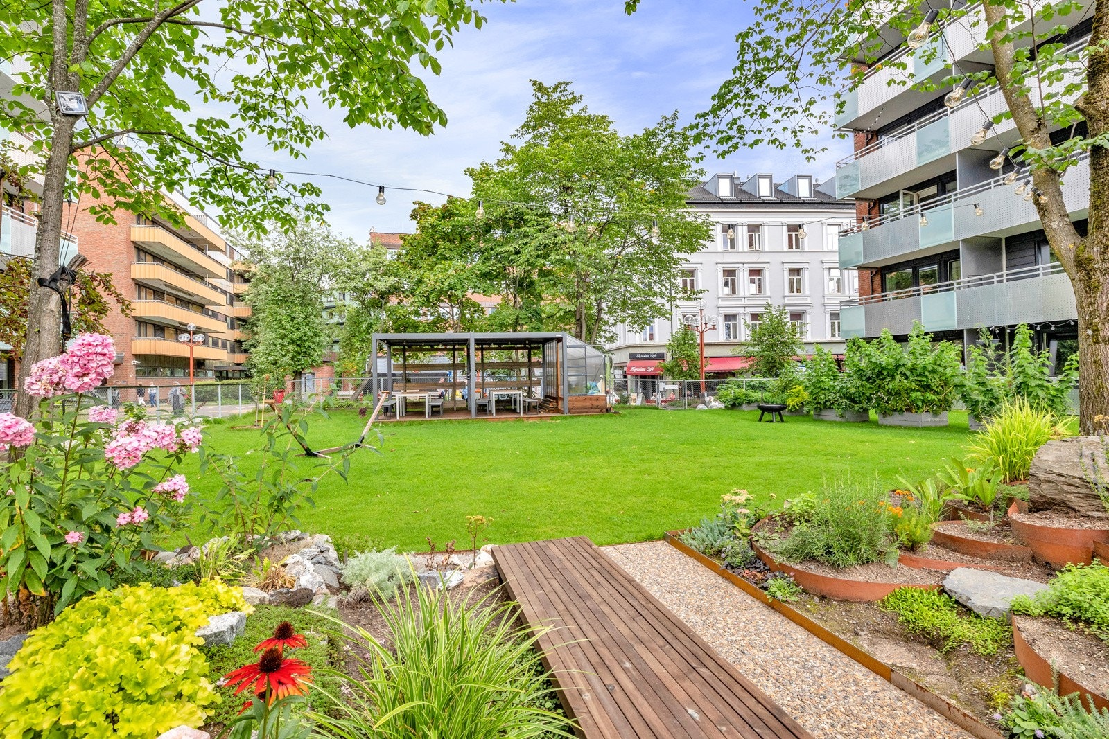 Her er det høy trivselsfaktor! Galleribilde