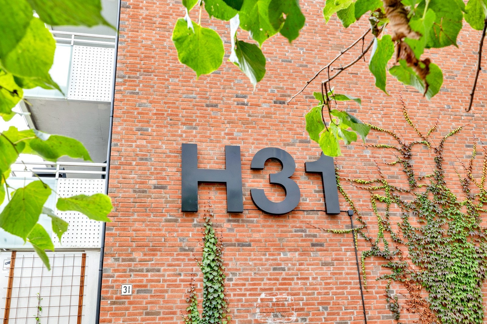 Velkommen til Hagegata 31! Galleribilde