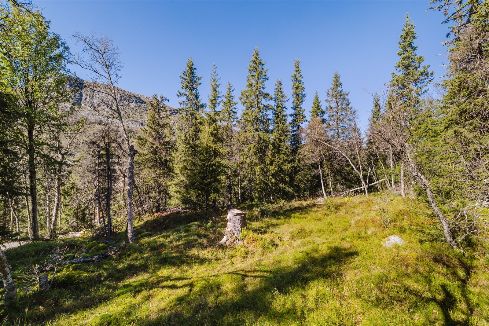 Tomten er tilknyttet HAGAS (Haglebu vann- og avløpsselskap). Galleribilde