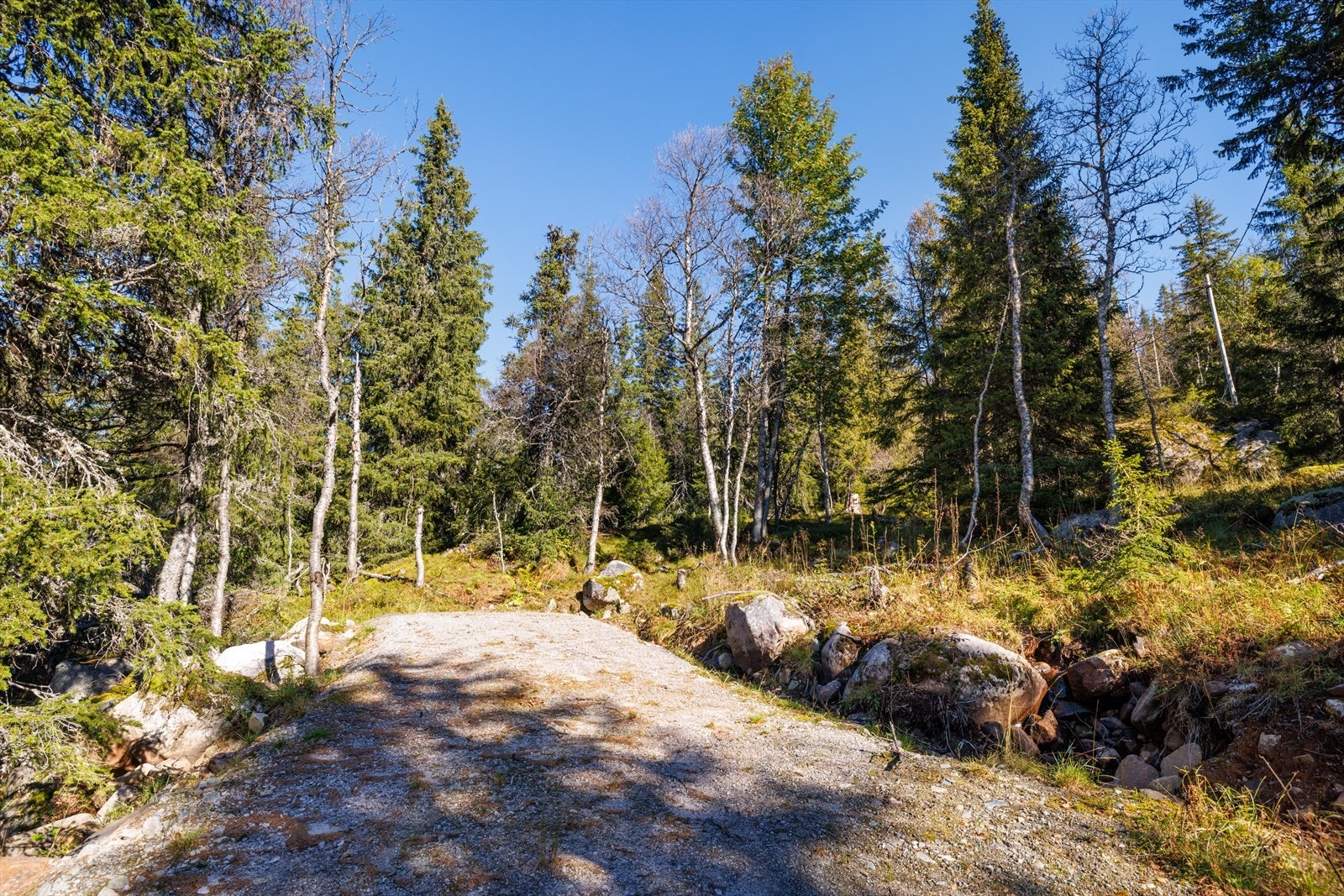Tomten kan bebygges med en boenhet på inntil 200 m² BYA med tillegg av 36 m² til utendørs parkering. Galleribilde