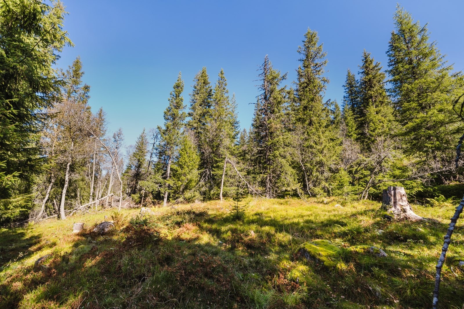 Det er tidligere gitt byggetillatelse fra Sigdal kommune, denne er nå utgått og byggetillatelse må søkes på nytt. Galleribilde