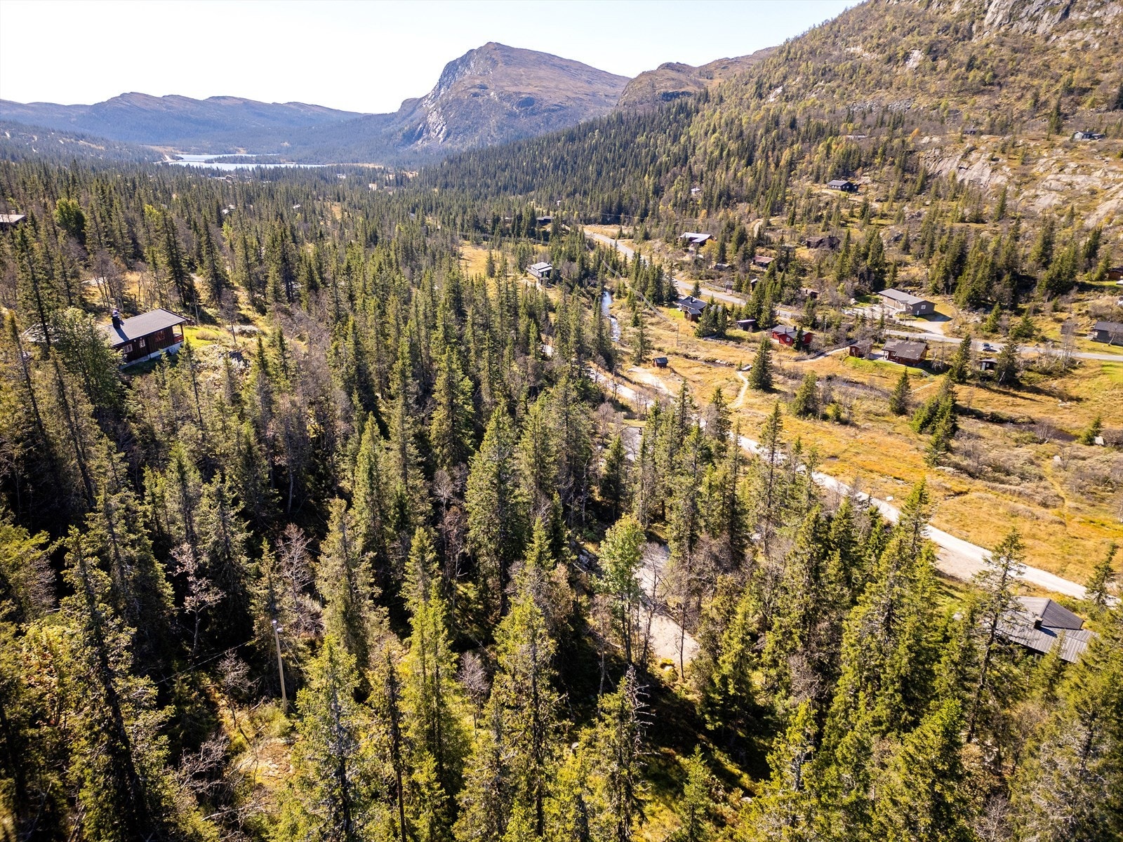 Velkommen til Nedre Bergshammarlia 9 - En romslig selveiertomt på ca. 1 030 m². Galleribilde