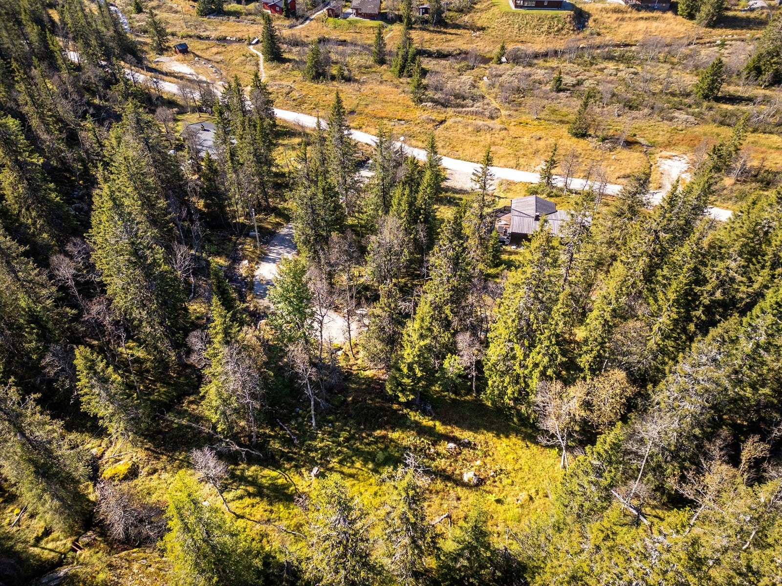 Tomten har en solrik og attraktiv beliggenhet på Haglebu. Galleribilde