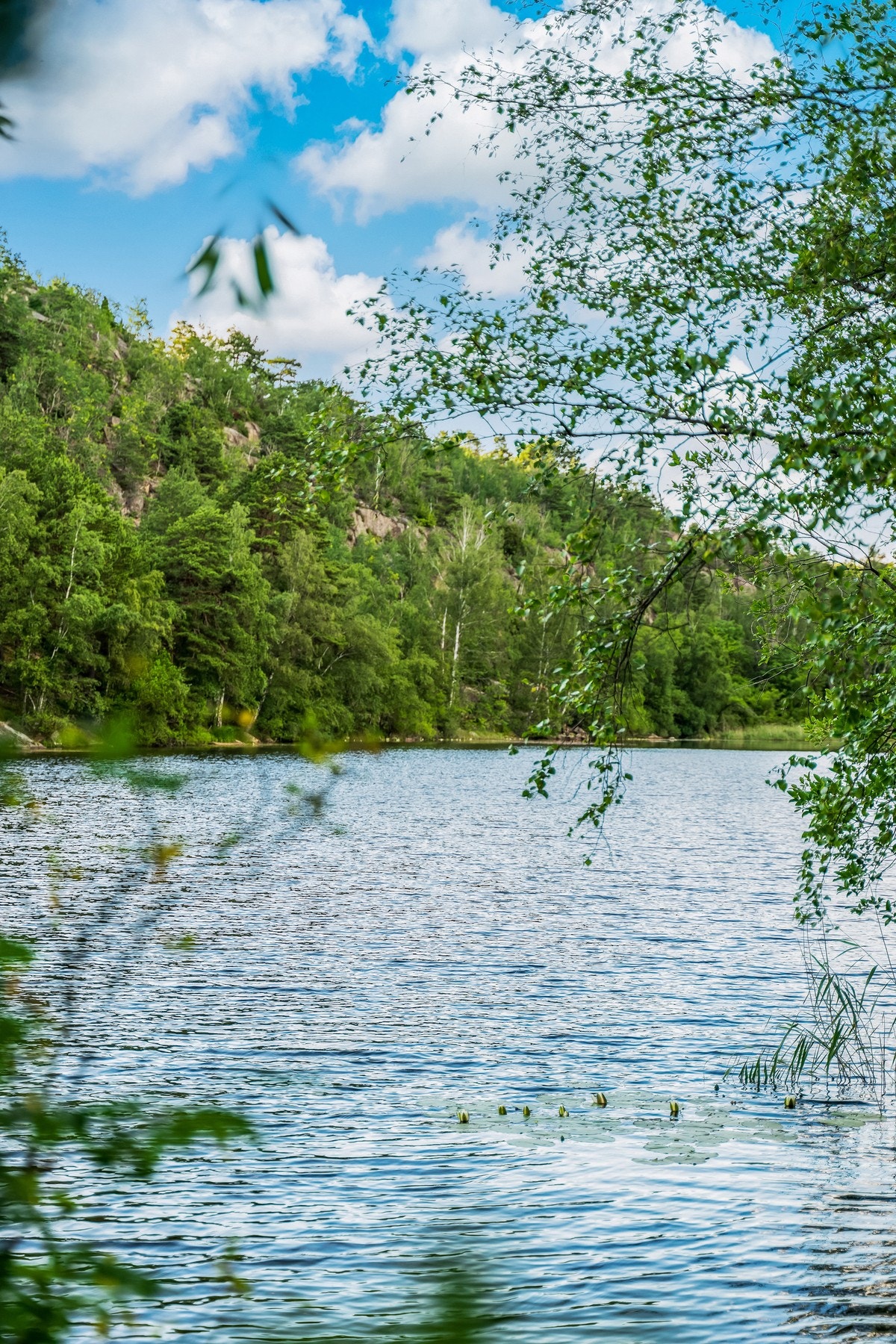 Bingedammen Galleribilde