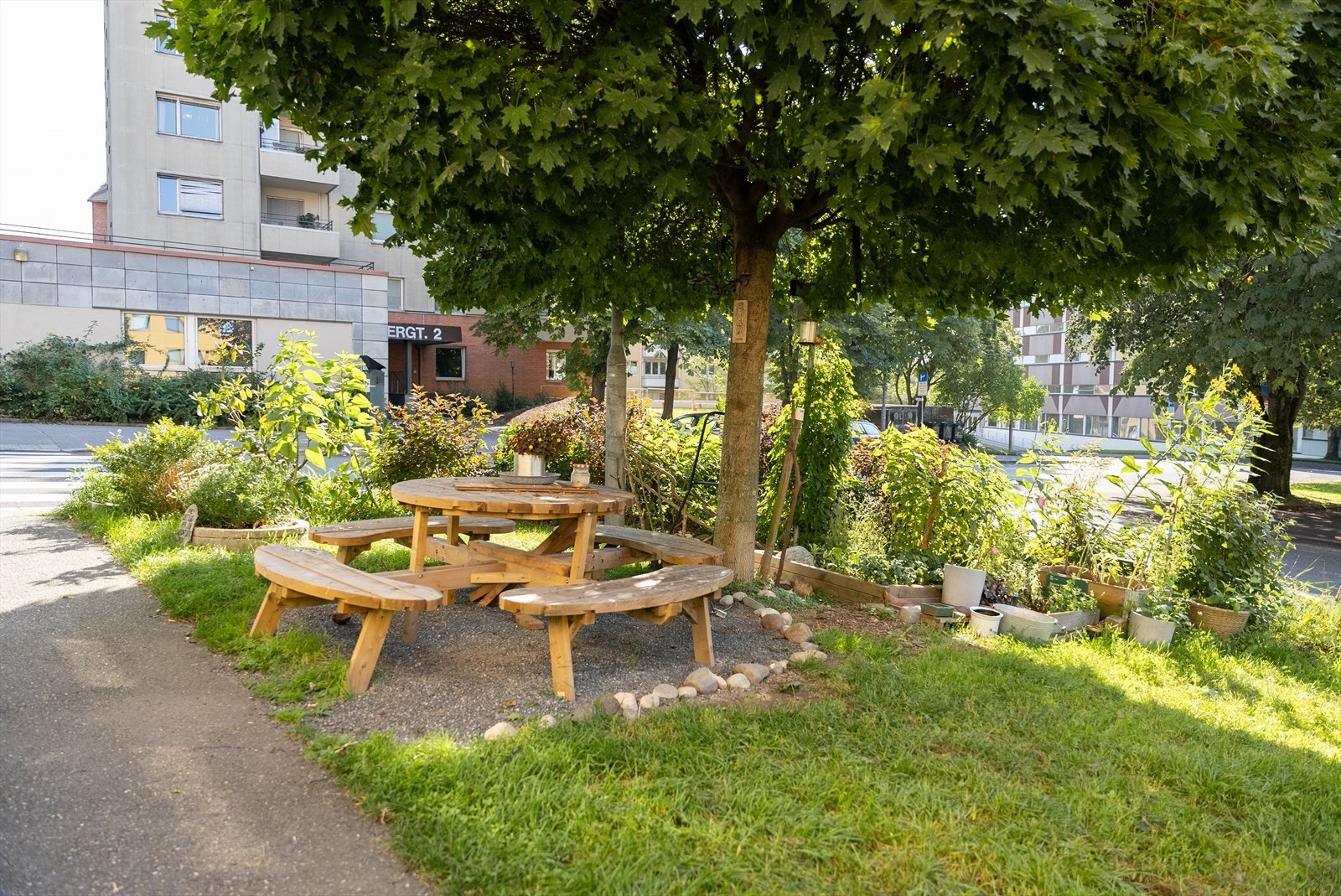 Hyggelige fellesarealer med benker og beplantning. Galleribilde