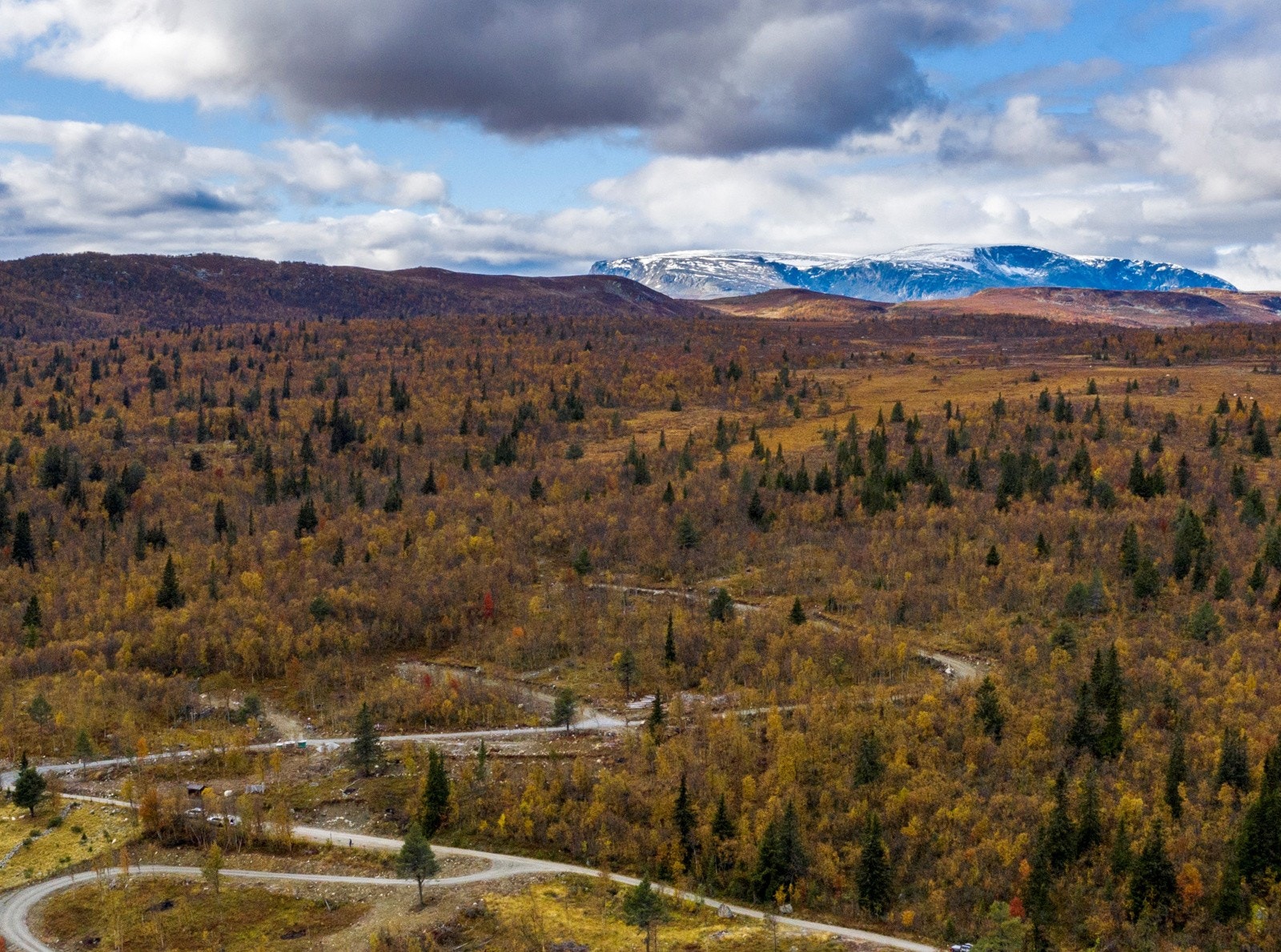 Like fint sommer som vinter. Galleribilde