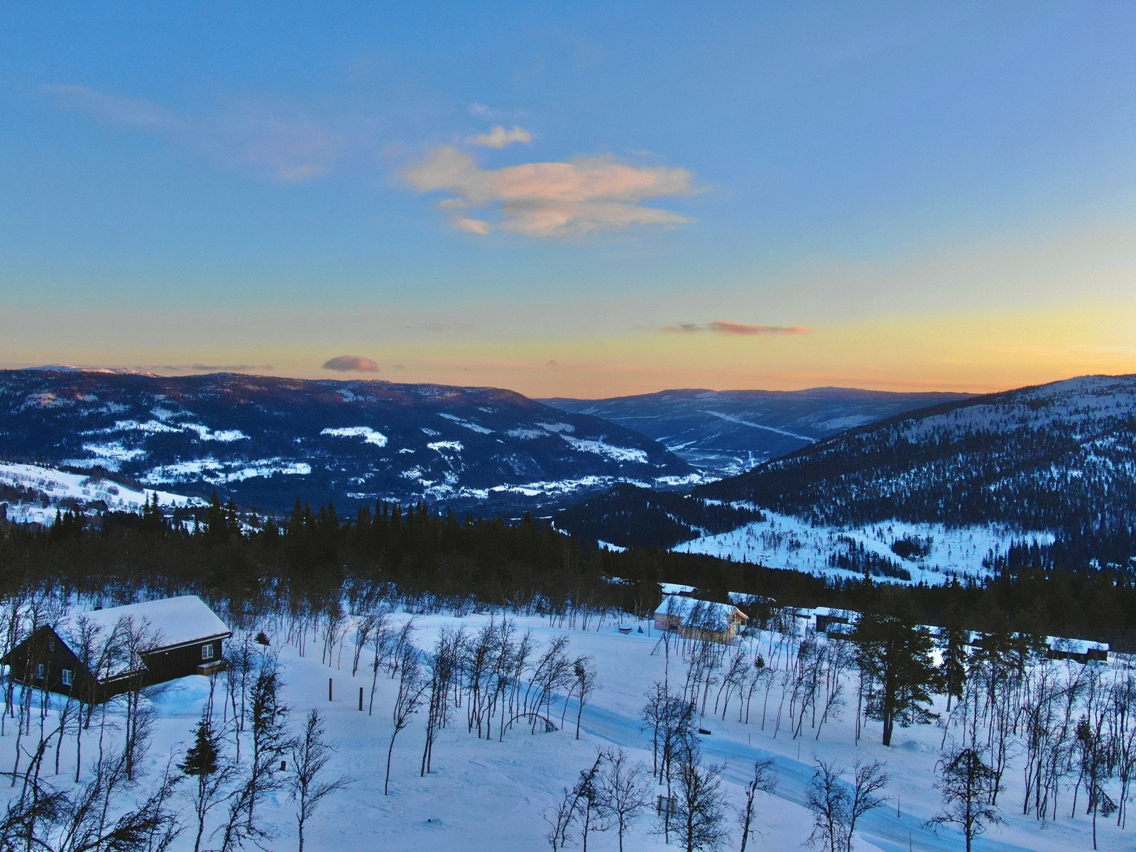 Øverst i feltet. Galleribilde