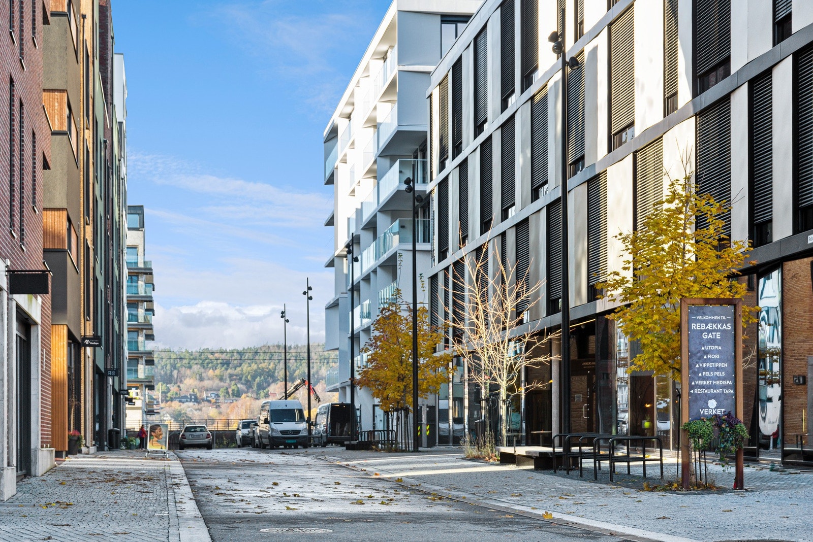 Handlegaten på Verket Galleribilde