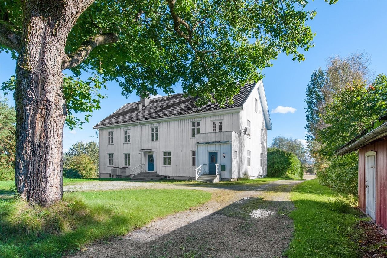 Et koselig tuntre i midten av "rundkjøringen" på tunet Galleribilde