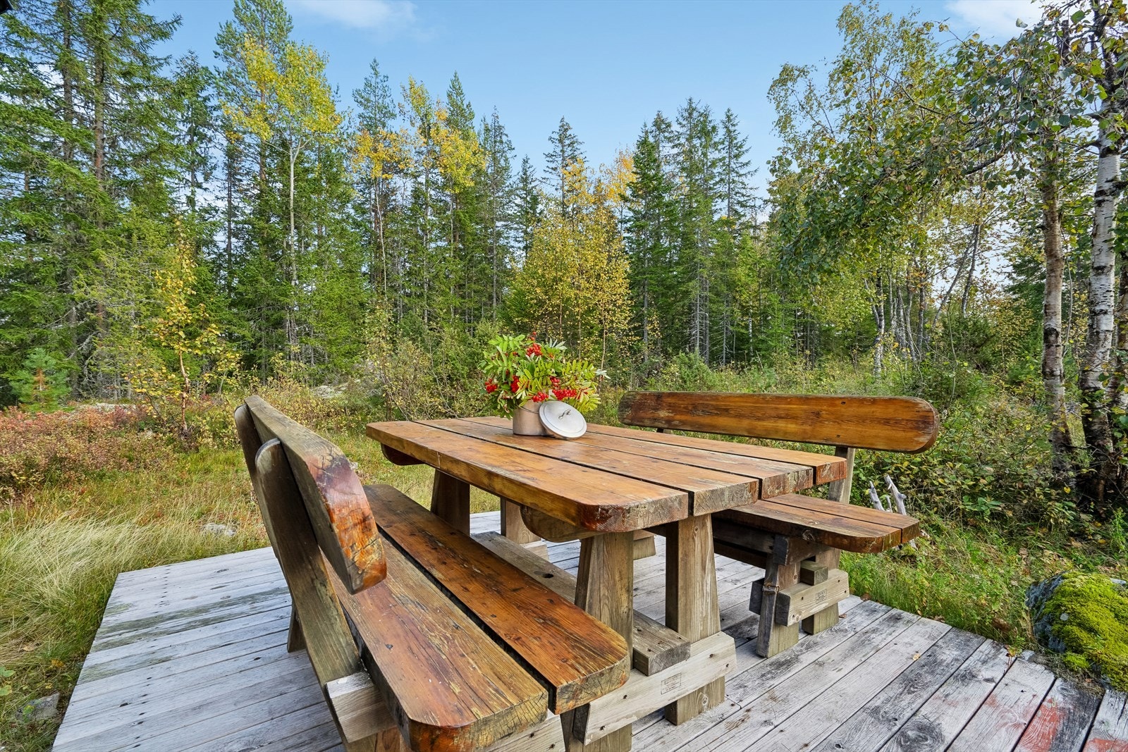 Fine uteplasser rundt hytta Galleribilde