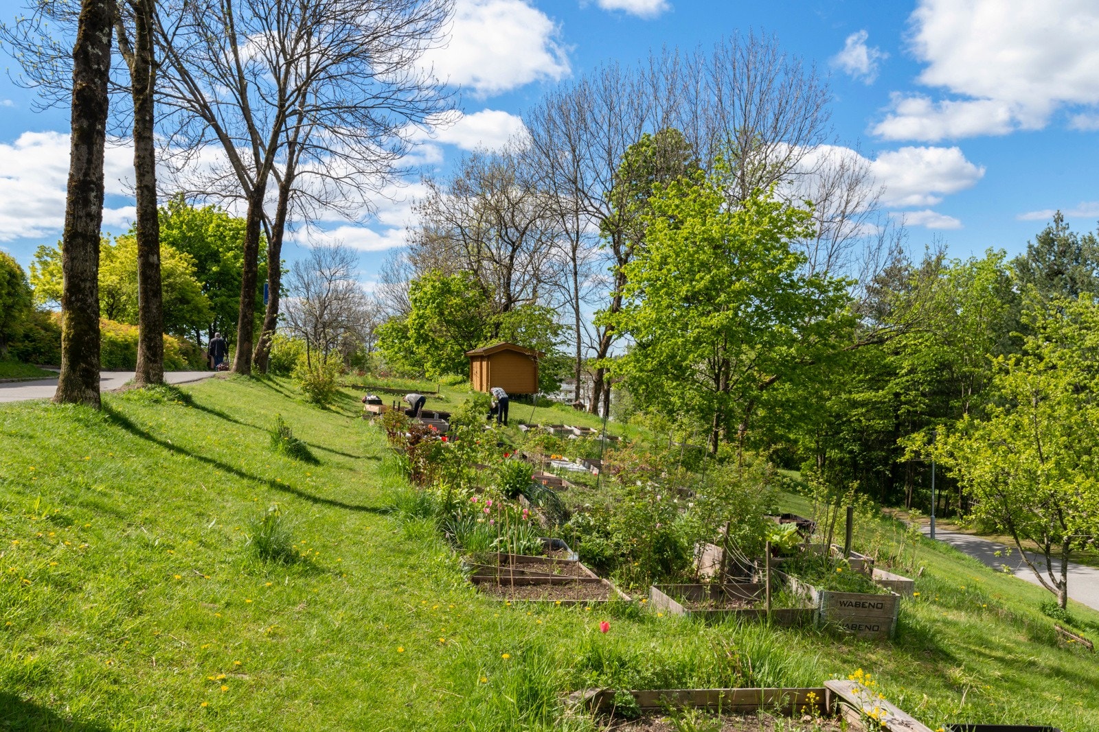 Parsellhager tilhørende Øvre Silkestrå Galleribilde