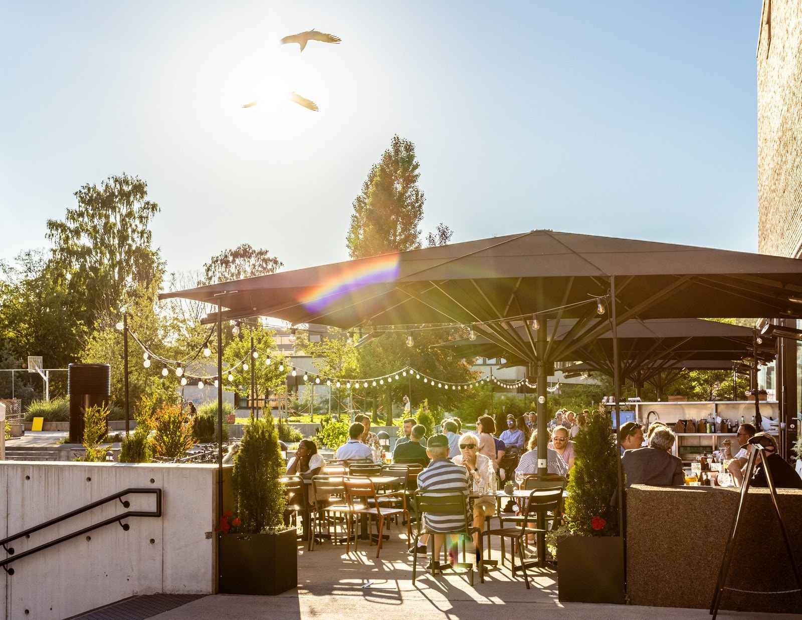 Området byr på en rekke spisesteder slik som Hasle Linie Gastropub, W.B. Samson, Sugar & Spice og 8 Fish Sushi Galleribilde