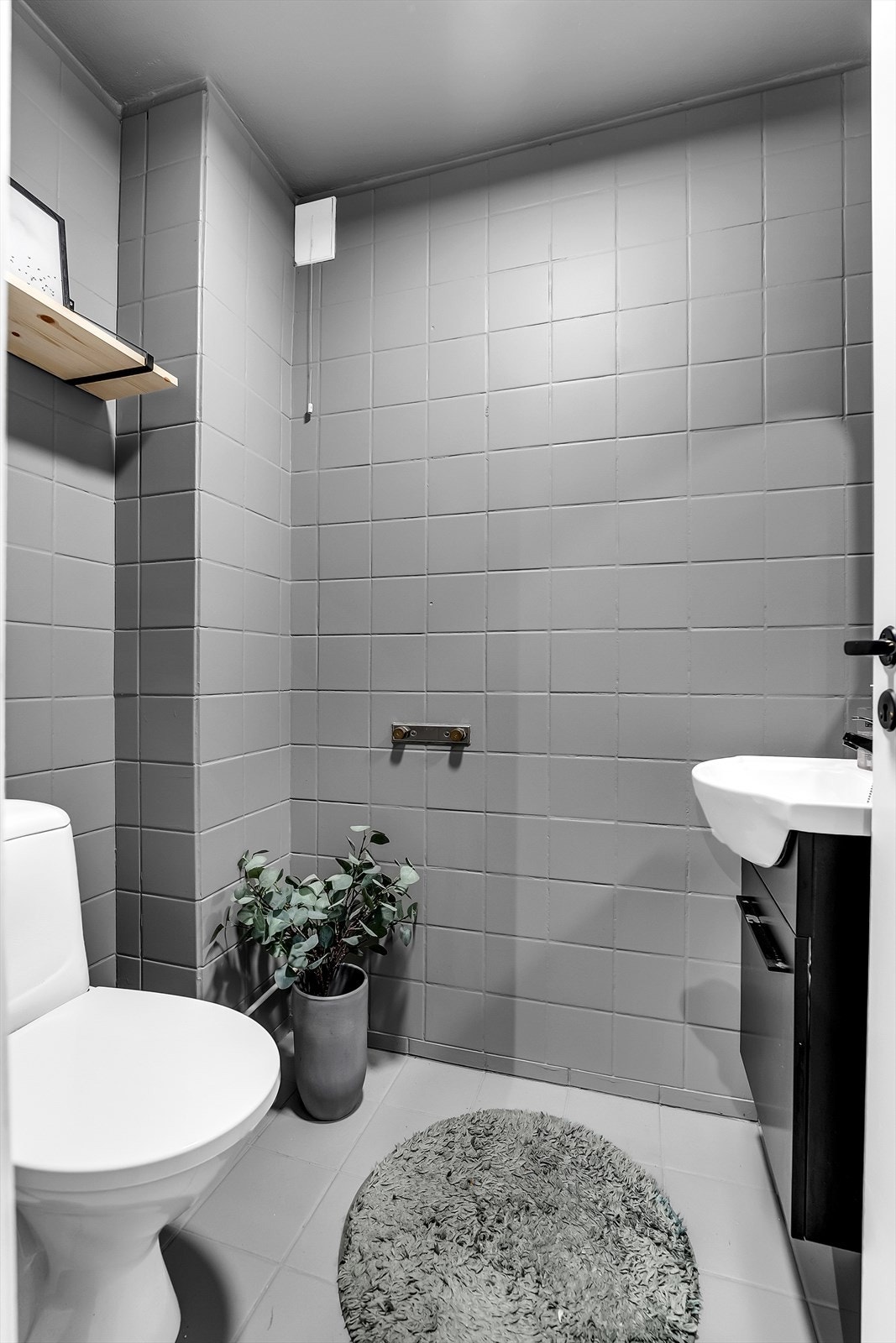 Separat toalettrom med malte fliser. Galleribilde