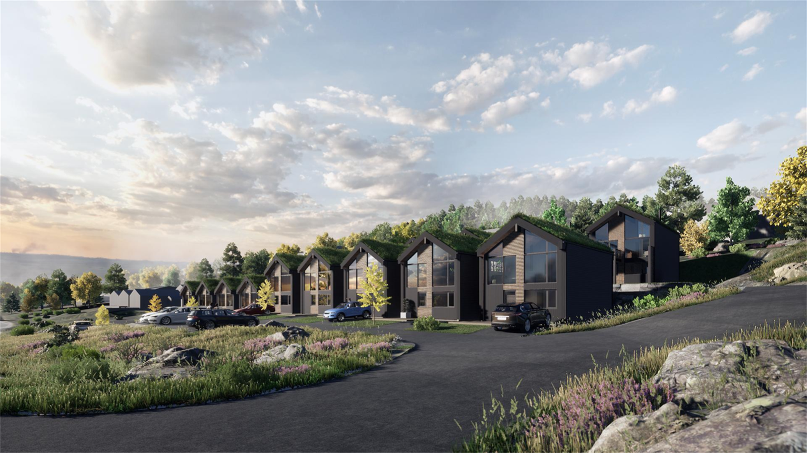 Illustrasjon av ferdig utviklet område Galleribilde