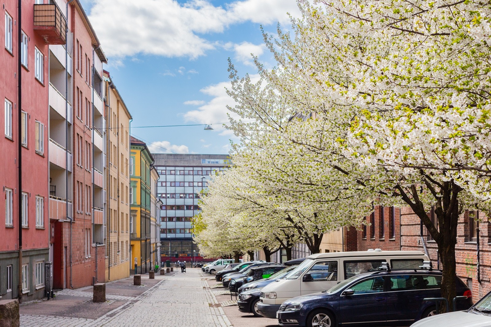 Nærområdet - Frodige Sigurds gate. Galleribilde
