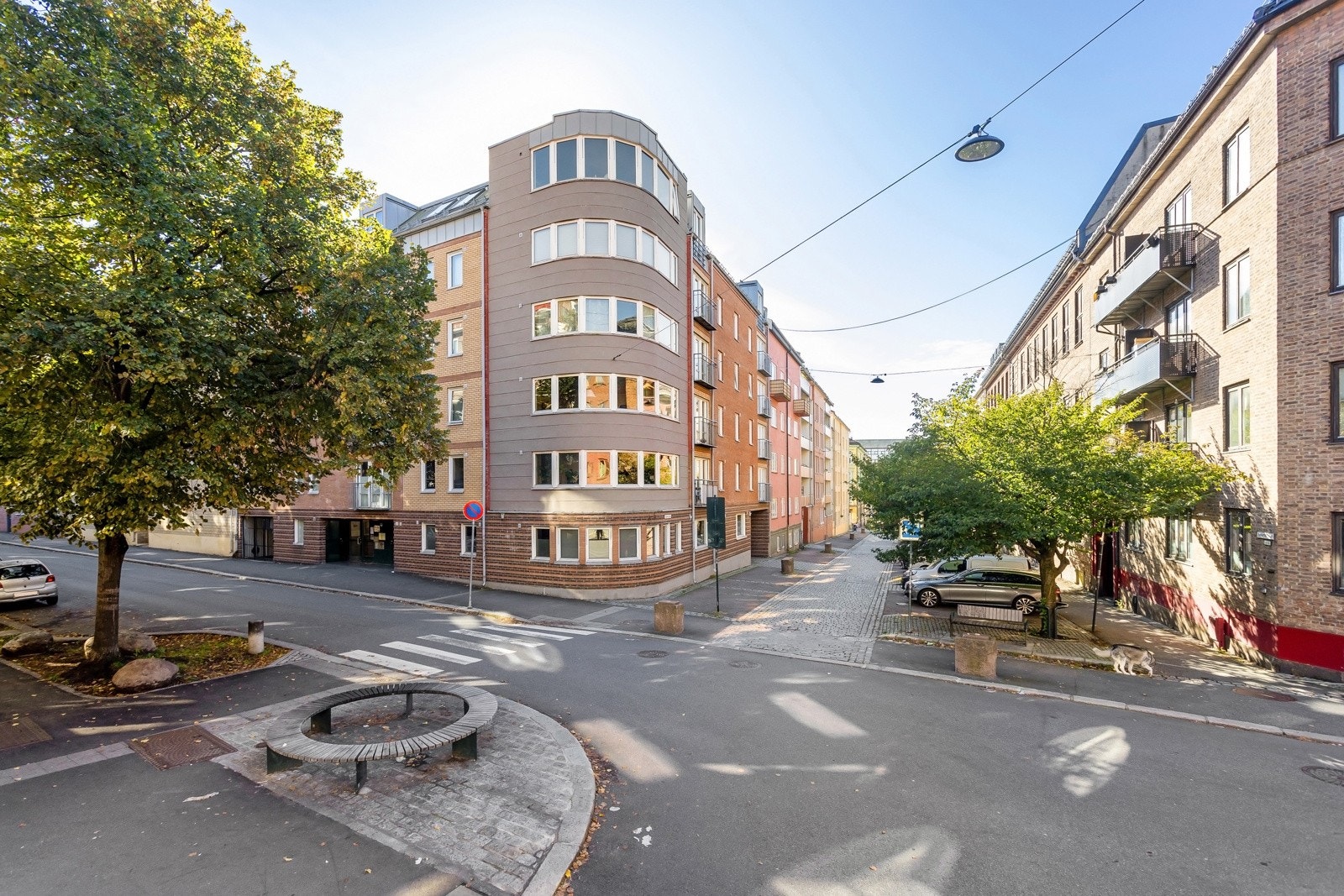 Fasade. Galleribilde