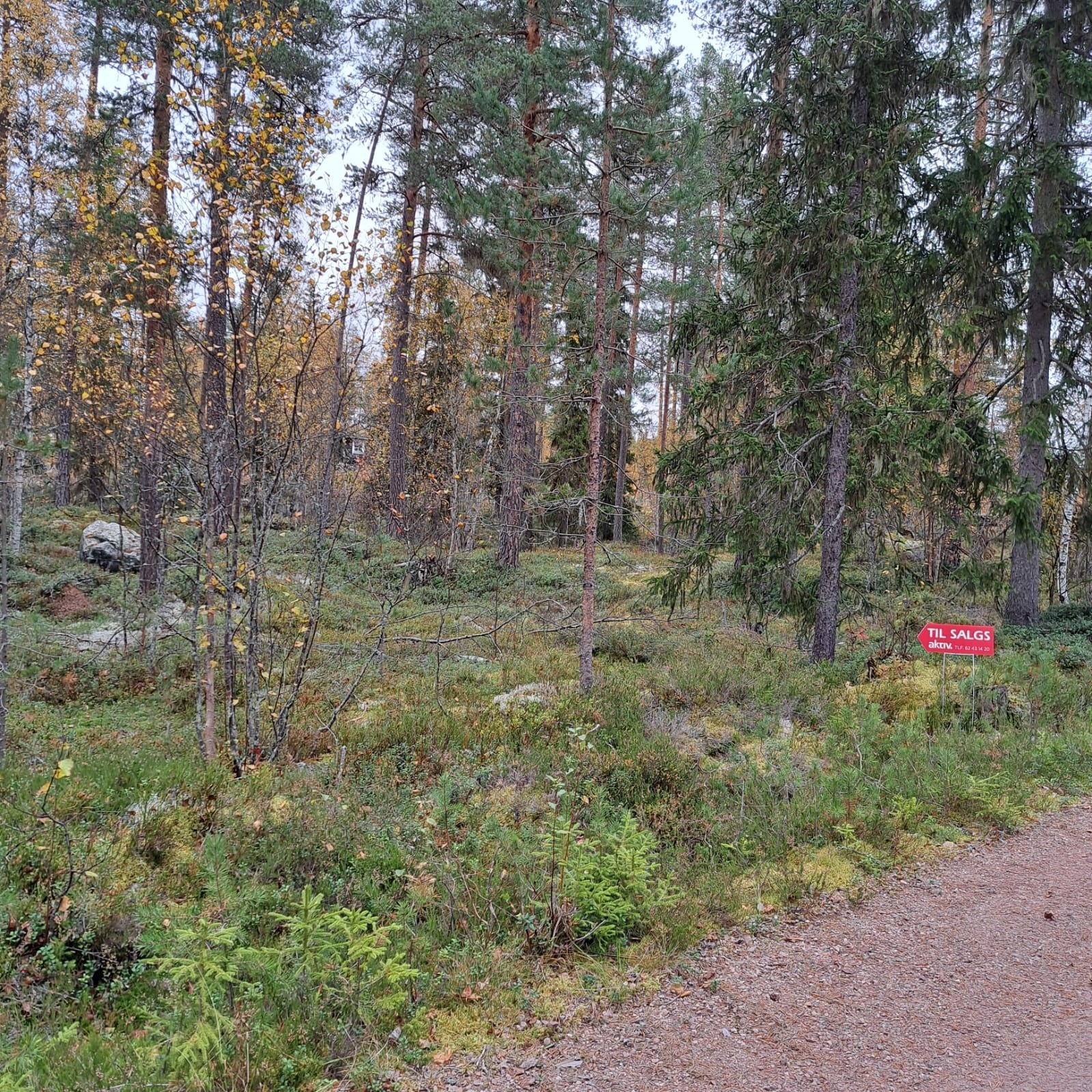 Velkommen til Kvernåa hytteområde 93! Galleribilde