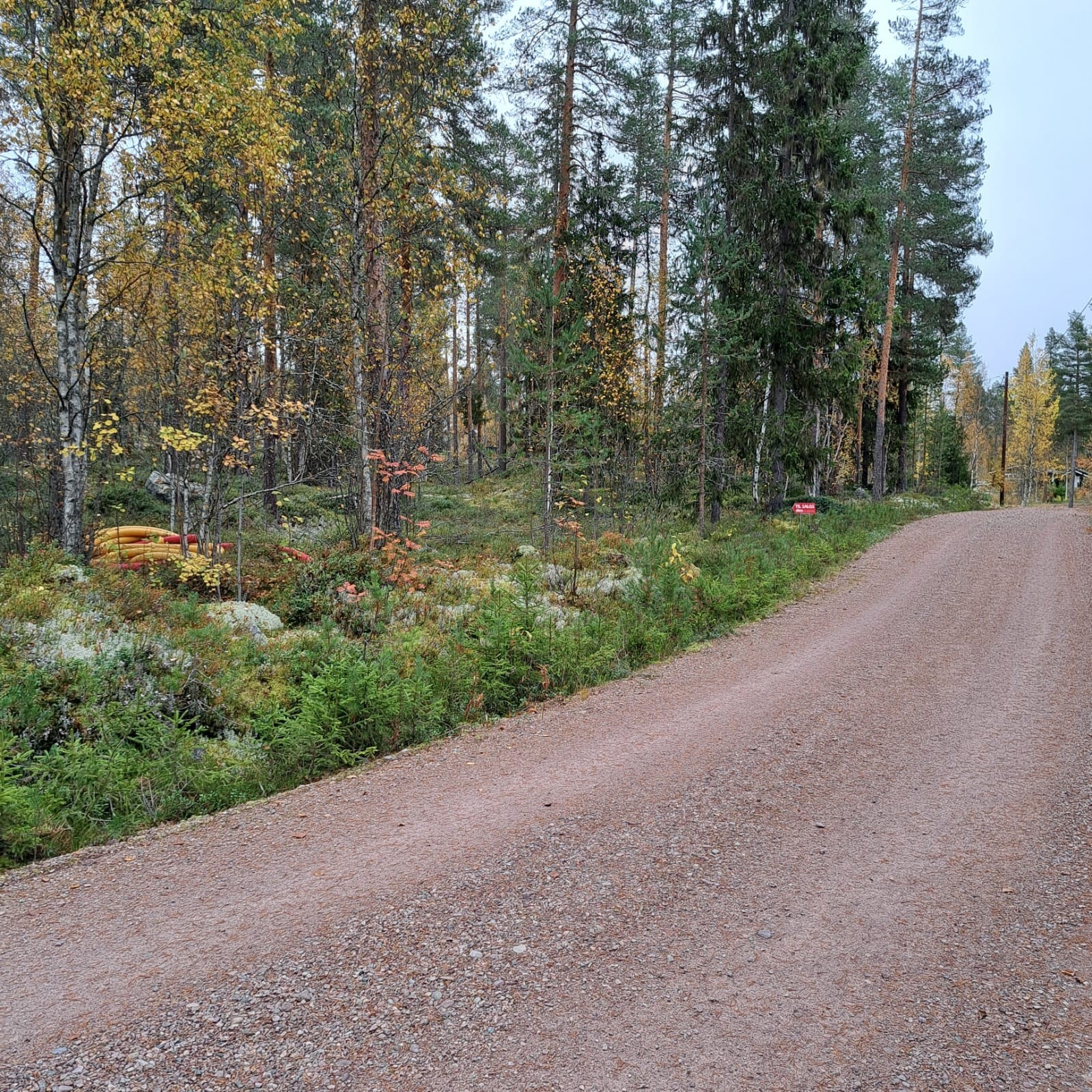 Hyttetomten ligger fint til på Kvernåa hytteområde i trivelige naturområder nær elva Ljøra. Galleribilde