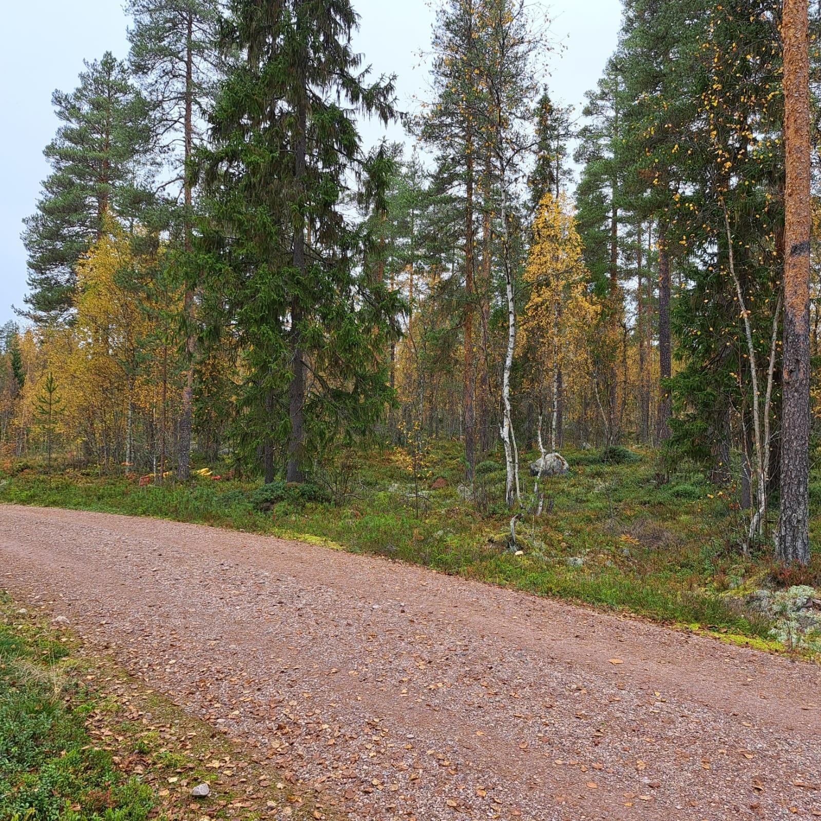 Hyttetomten ligger fint til på Kvernåa hytteområde i trivelige naturområder nær elva Ljøra. Galleribilde