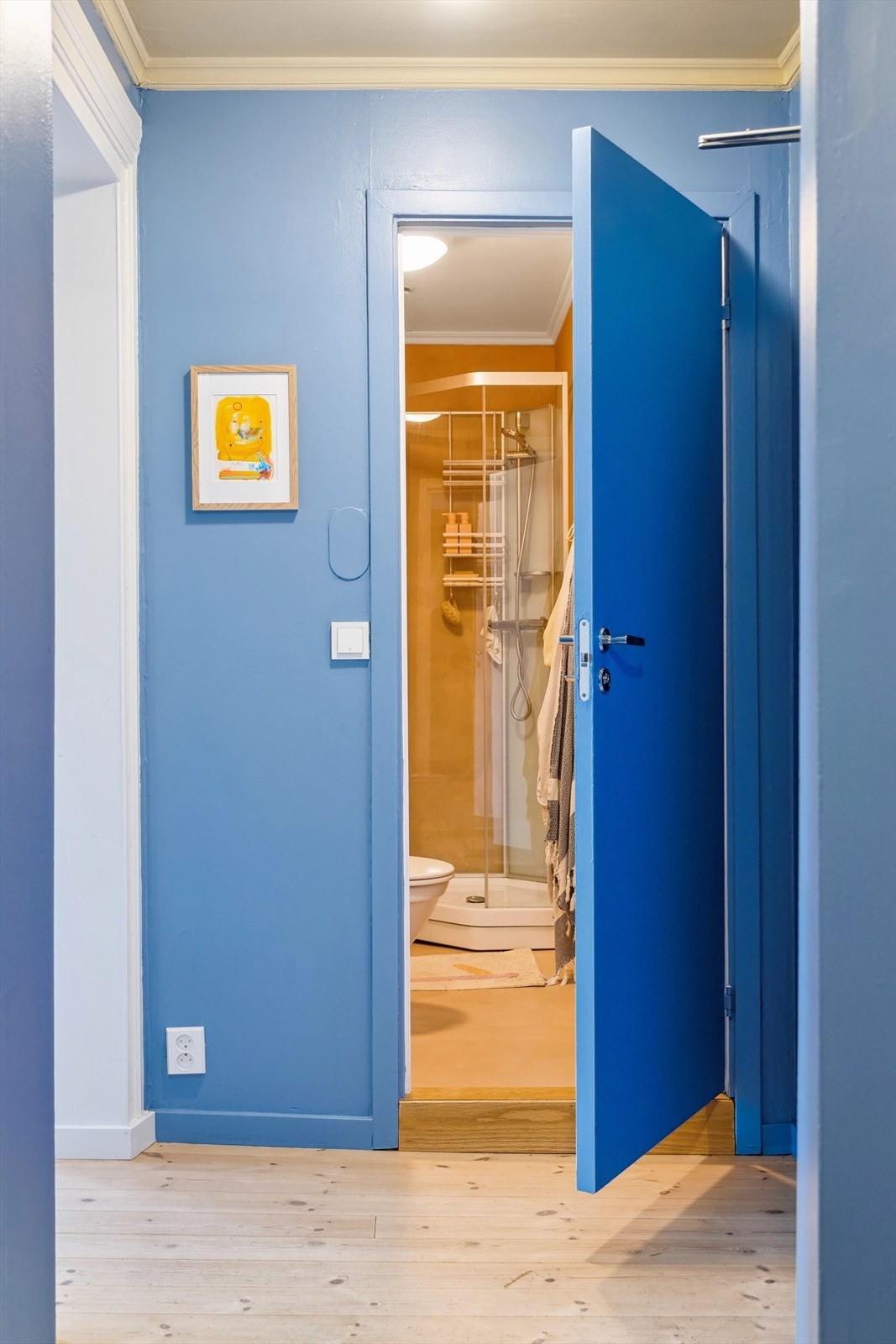 Entréen er malt i et stilig fargevalg Galleribilde