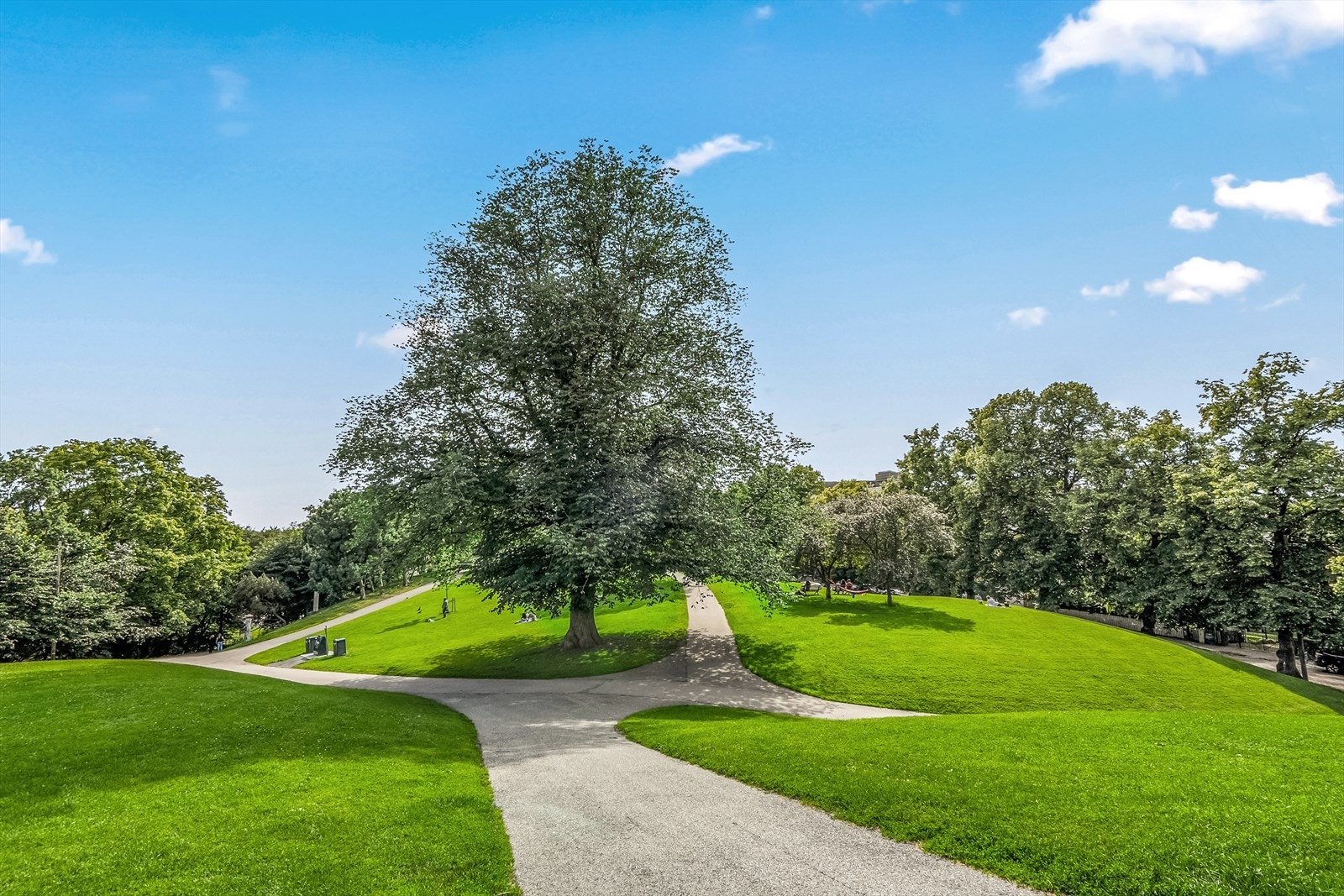 Kort vei til flere parker. Her er Stensparken avbildet Galleribilde