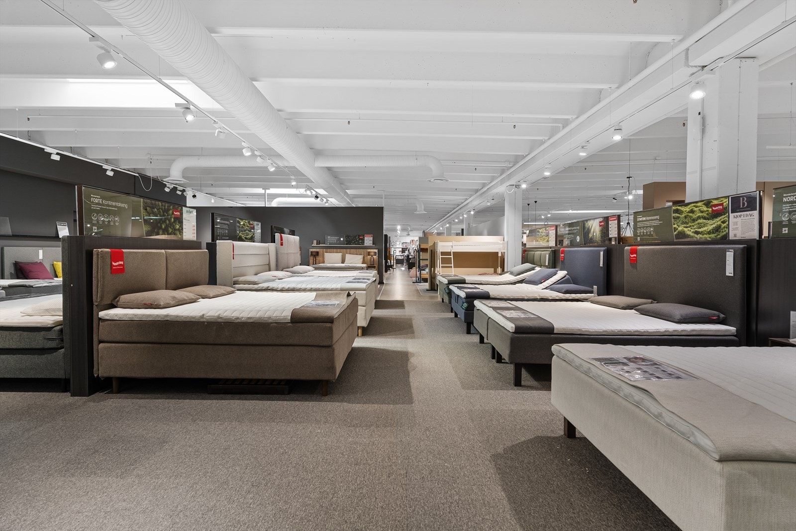 Flotte lokaler Galleribilde