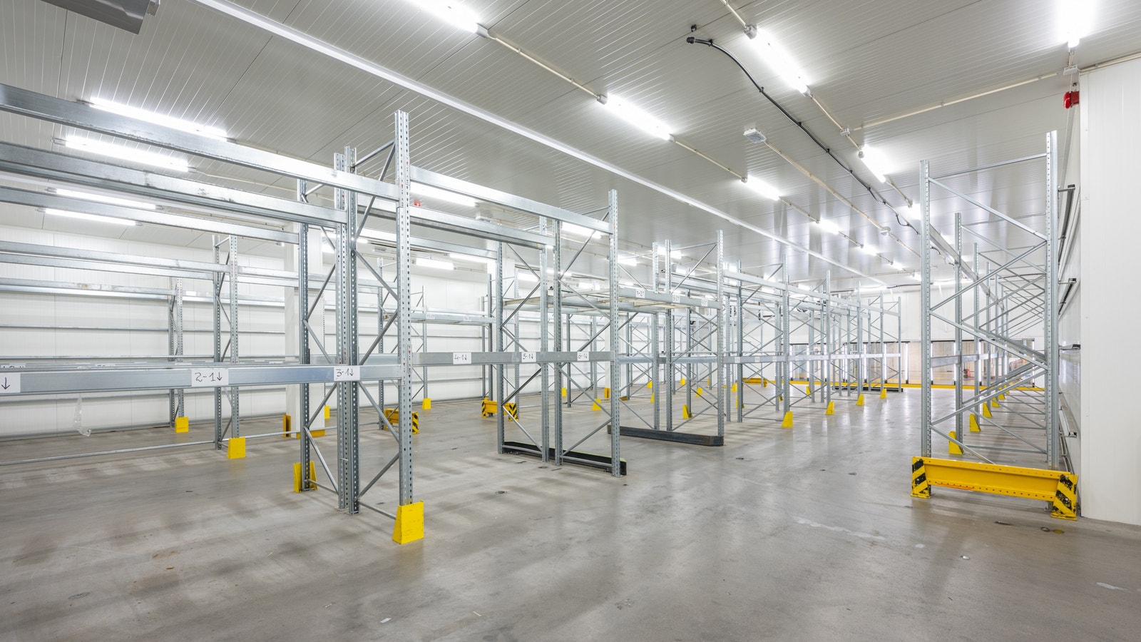 Reolsatt fryselager Galleribilde