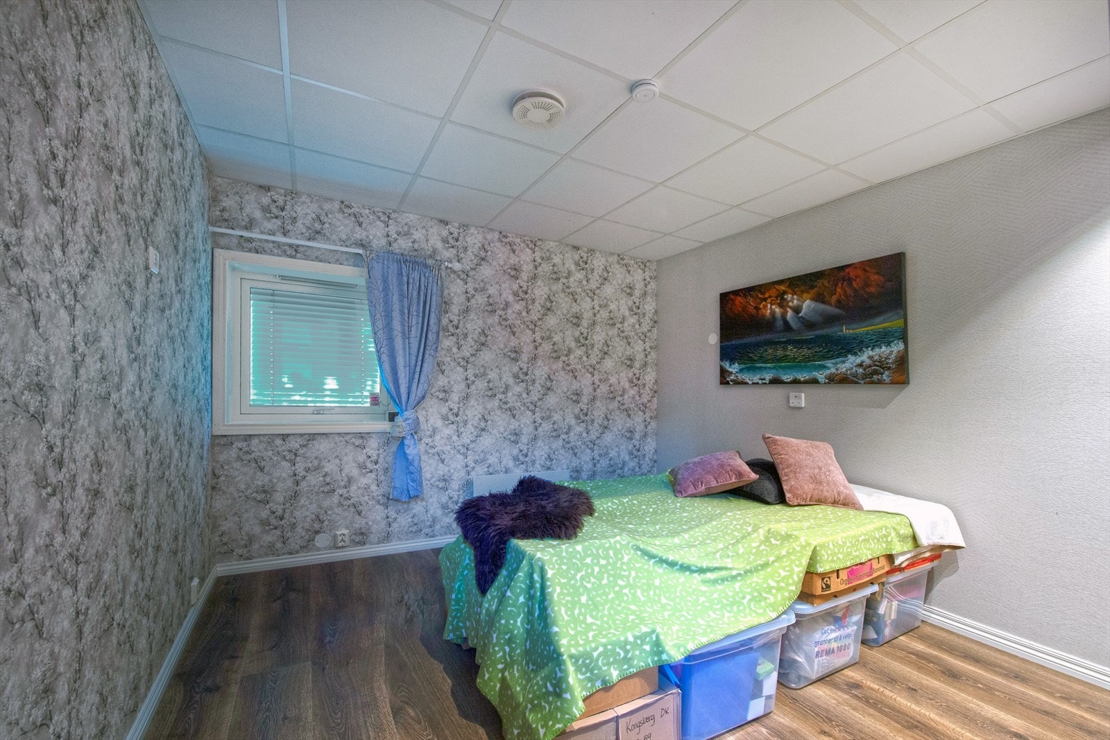_ROY0849.jpg Galleribilde