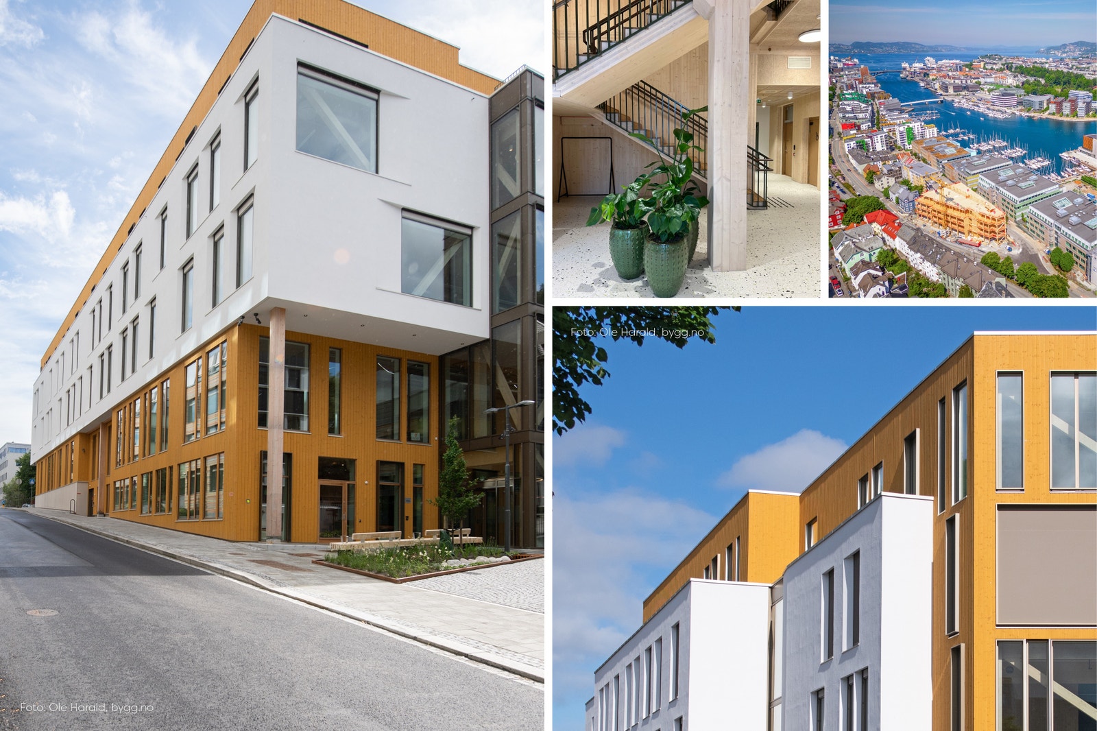 Massivtre gir god trivsel, og godt innemiljø Galleribilde