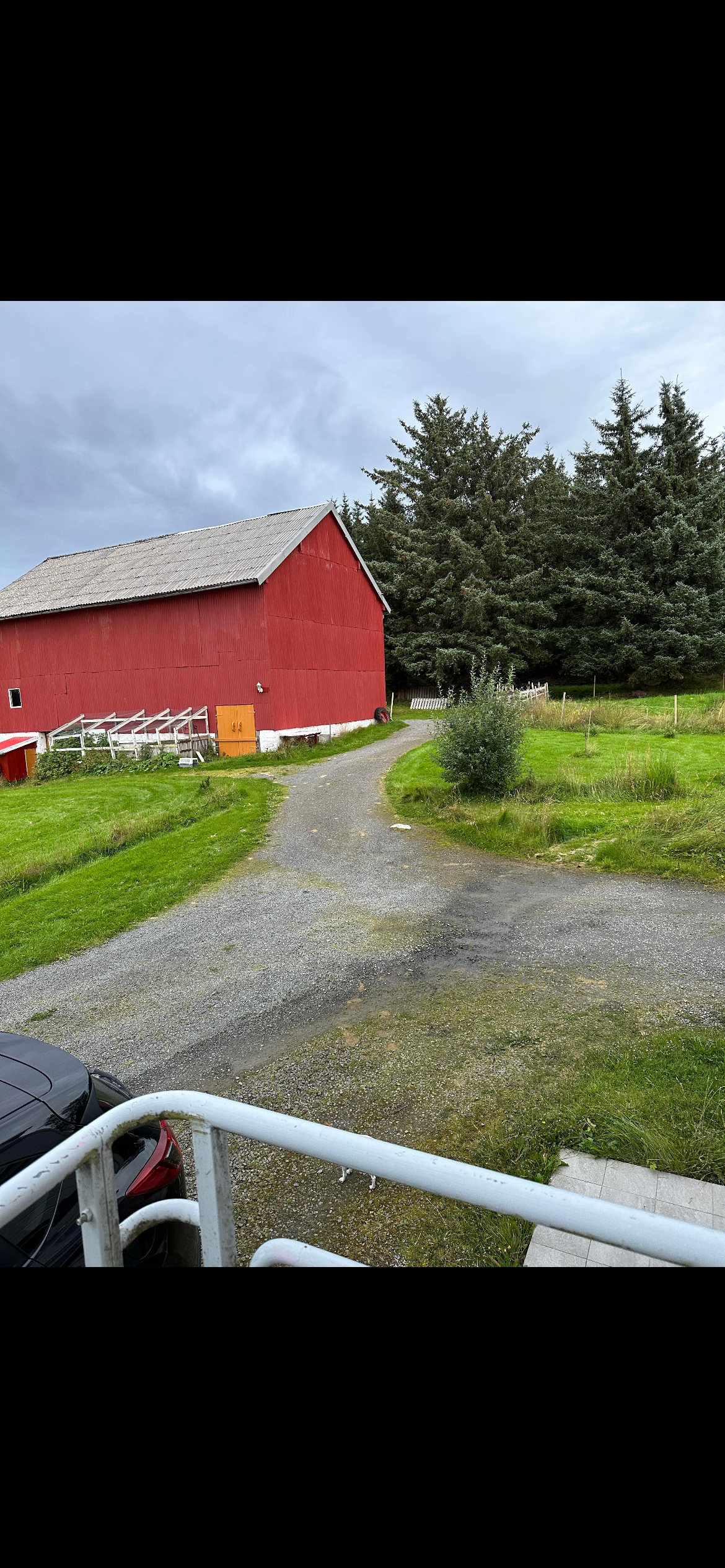 Heste stall Galleribilde