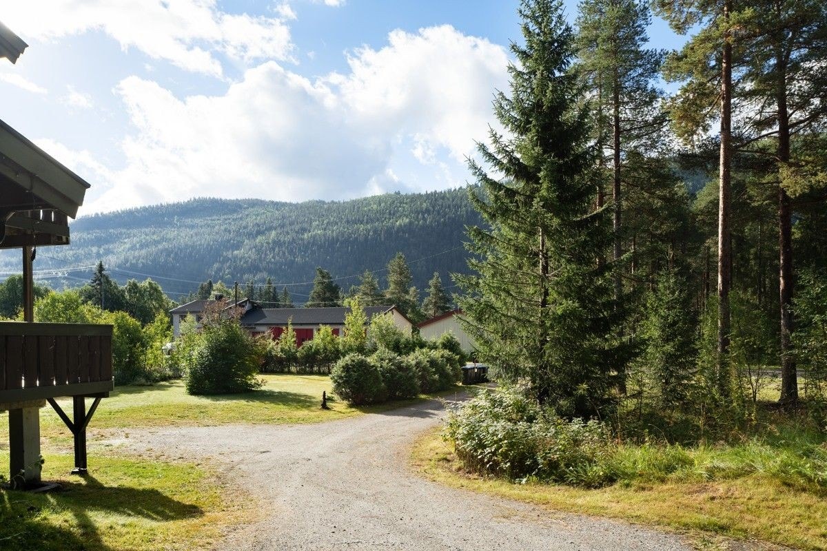 Vei fra hovedveien Galleribilde