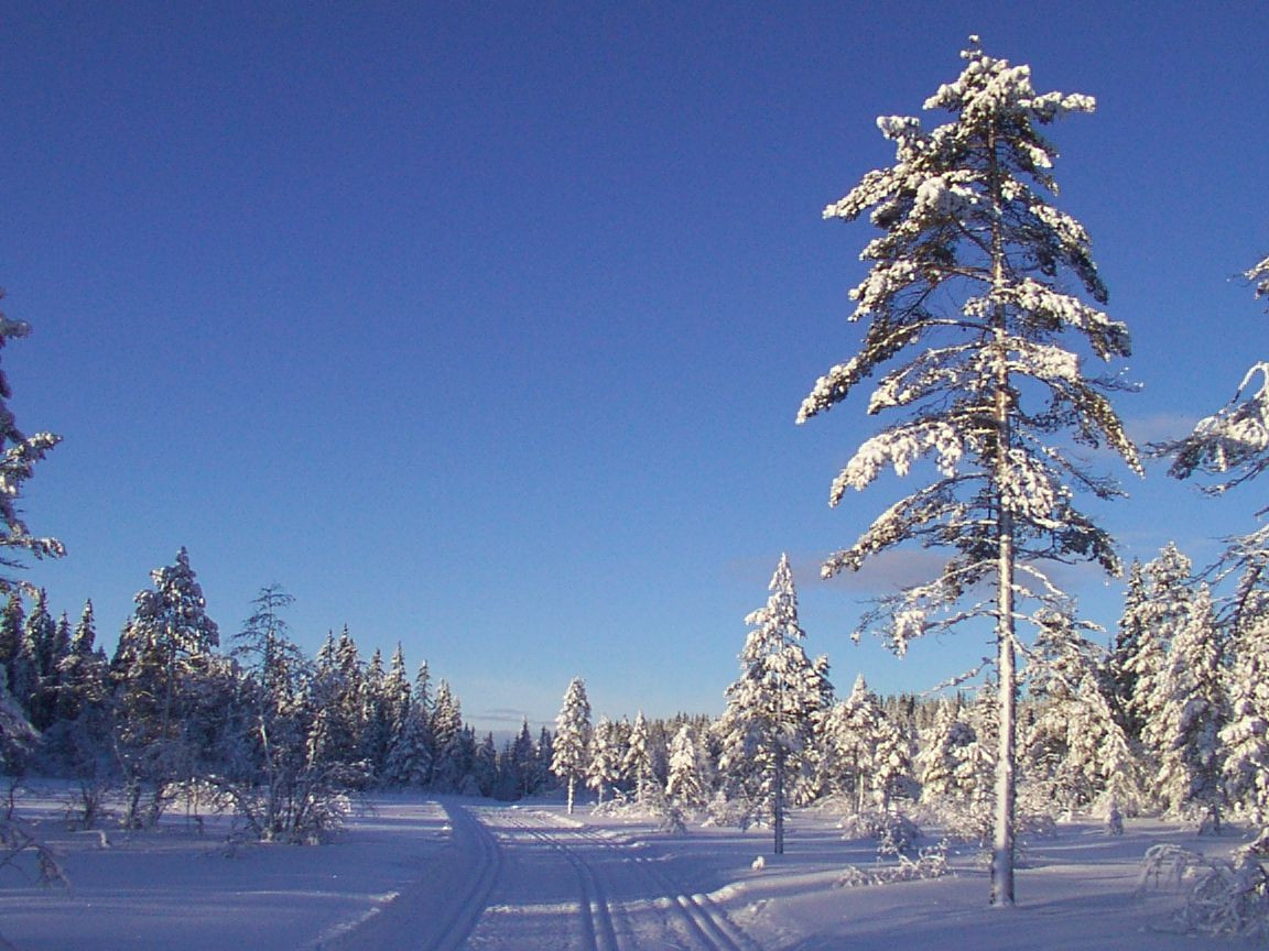 Ringkollen Skisenter