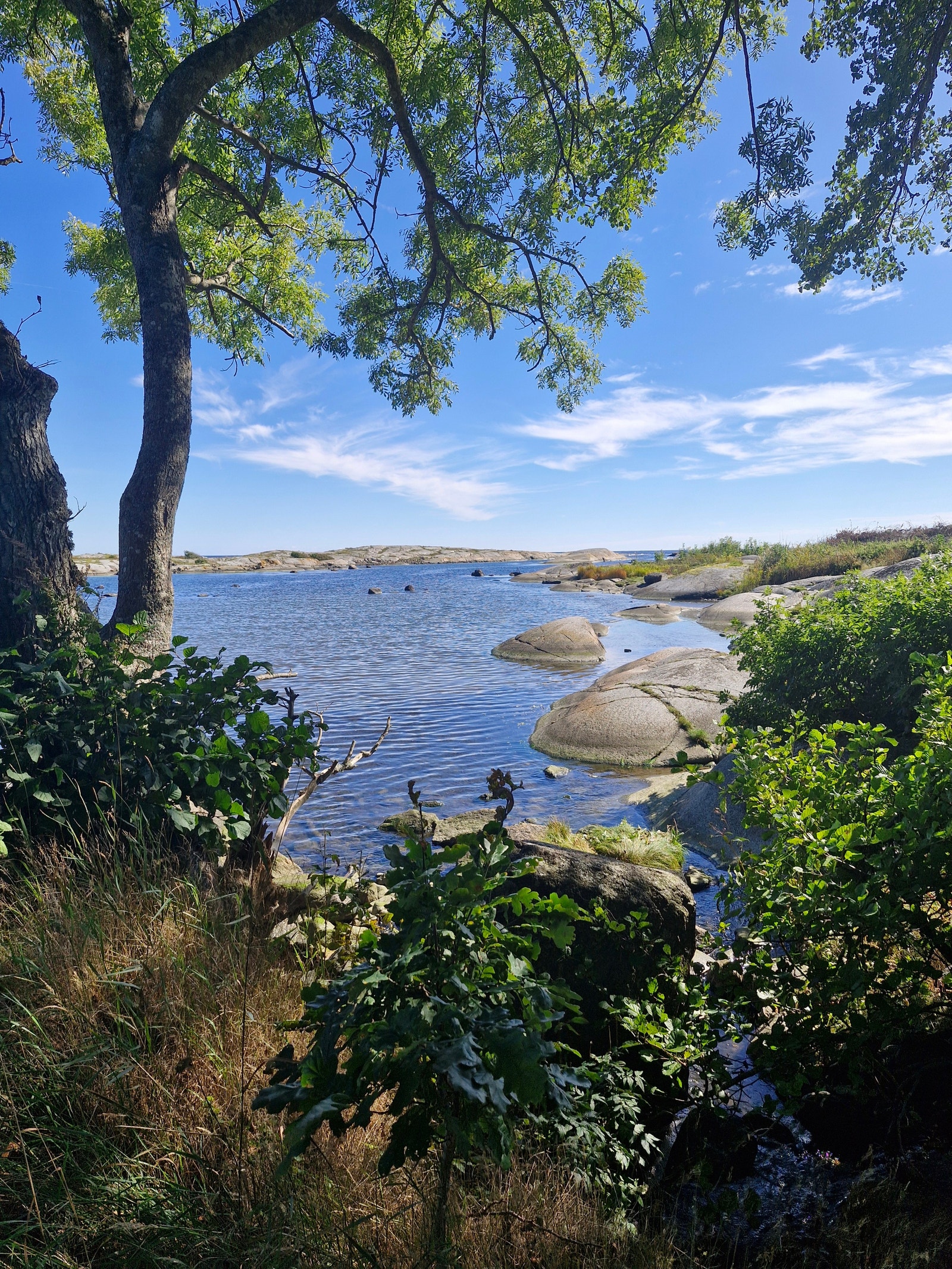 Bilde fra kyststien, retning mot Stavern Galleribilde