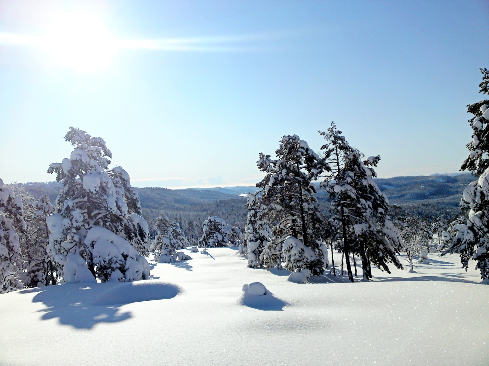 Fantastiske skiløyper i Vestmarka, bilde fra utsikten ved Mikkelsbånn Galleribilde