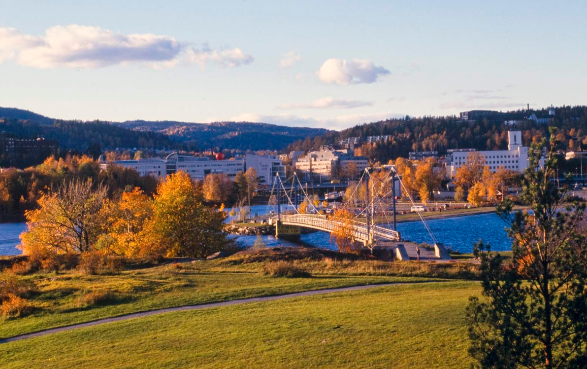 Flotte turmuligheter på Kalvøya rett i nærheten Galleribilde
