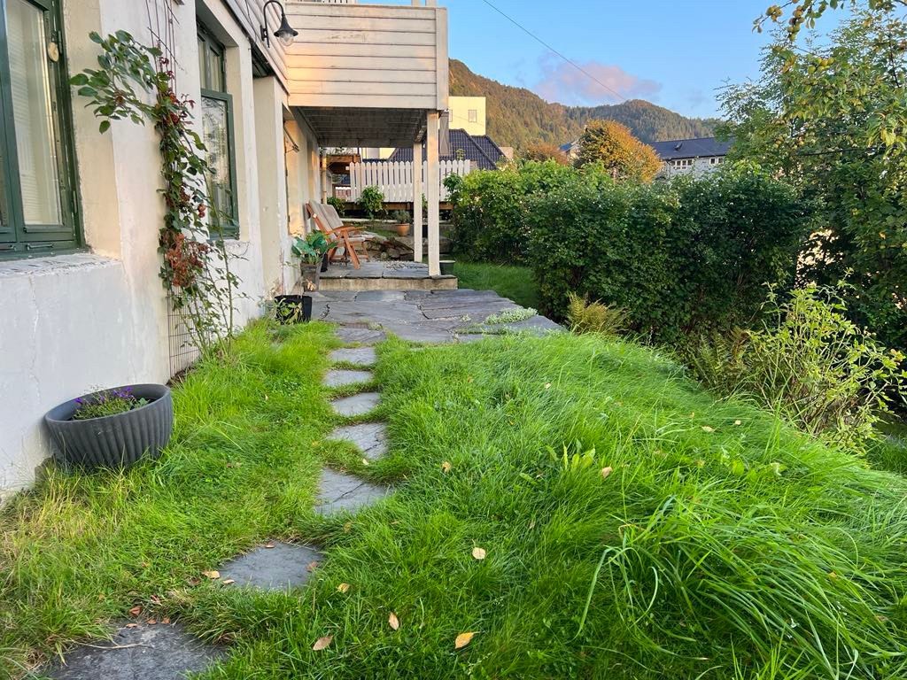 Fin uteplass med hekk og epletre i hagen. Galleribilde