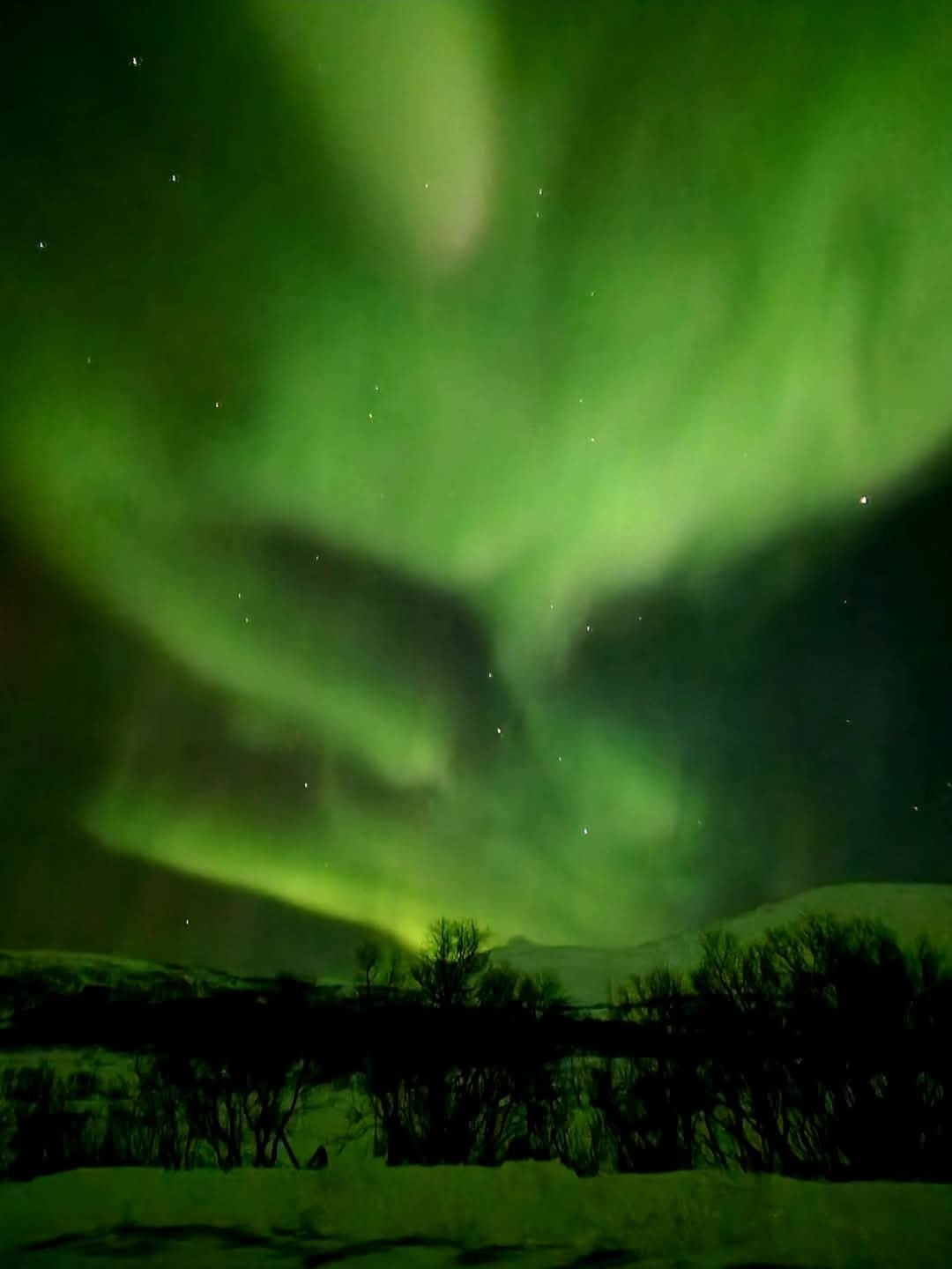 Mot fjellet Galleribilde