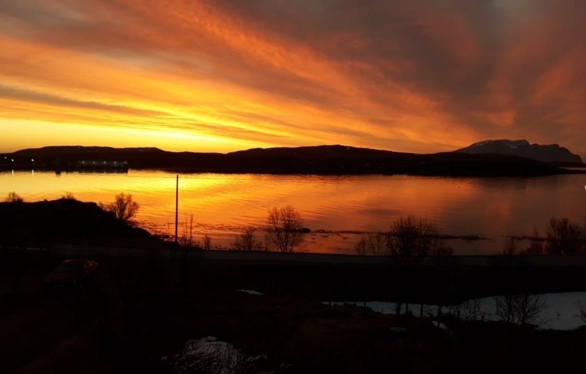 Midnattssol Galleribilde