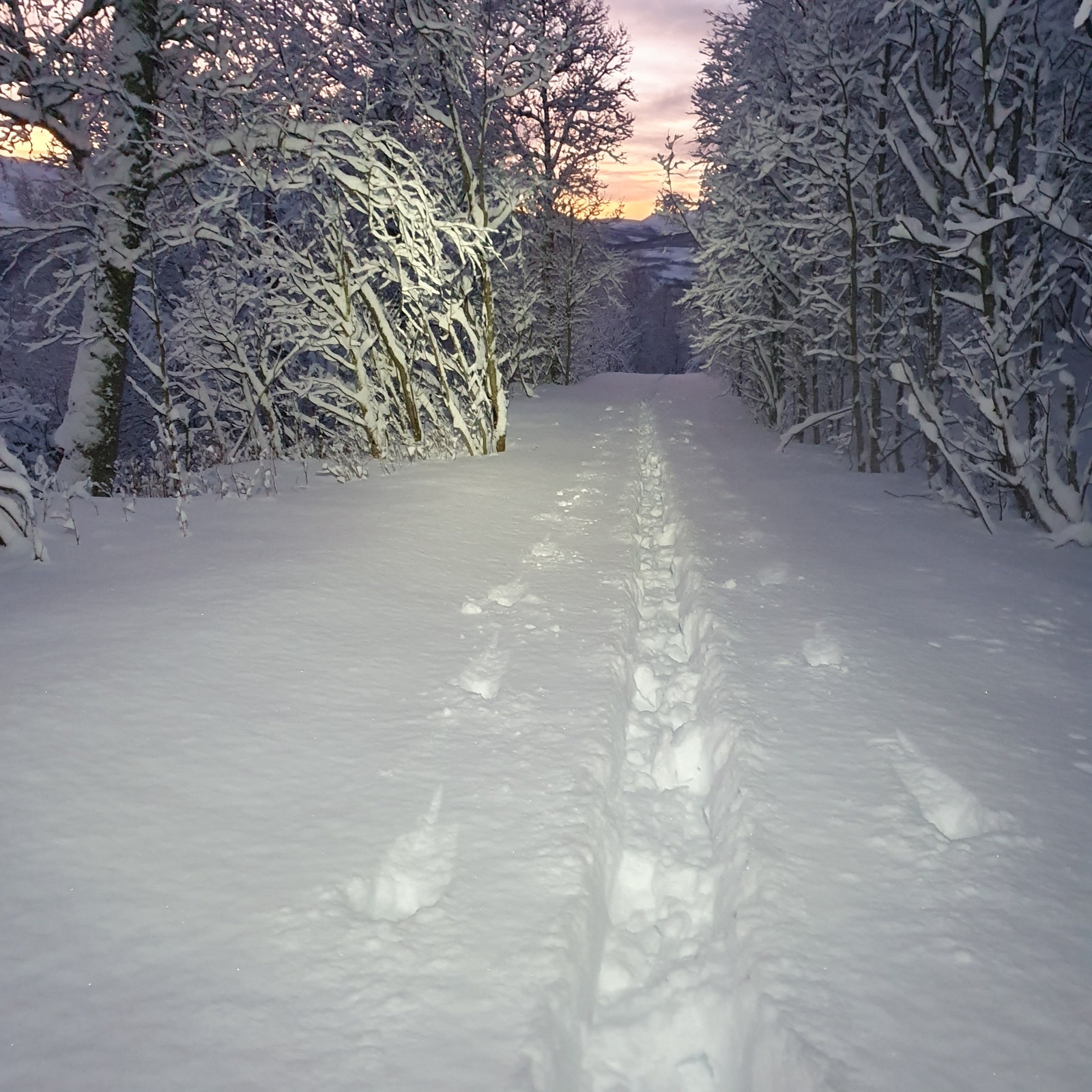 store skimuligheter både i og utenfor oppkjørte løyper Galleribilde