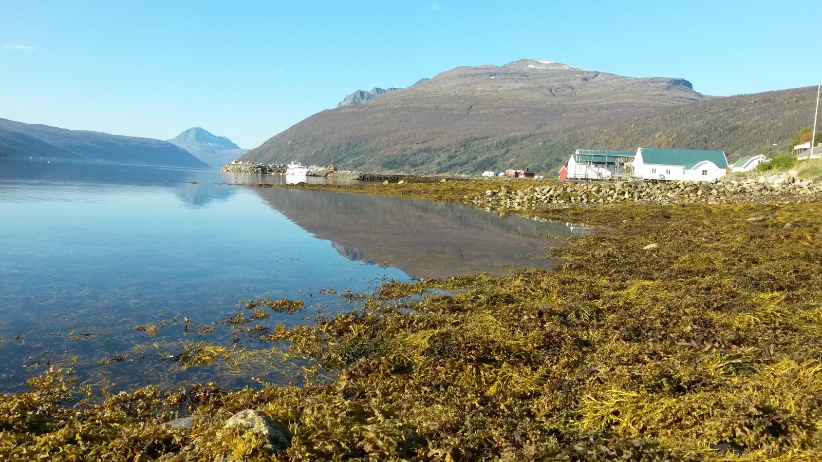 Lavangsfjorden fra fjæra Galleribilde