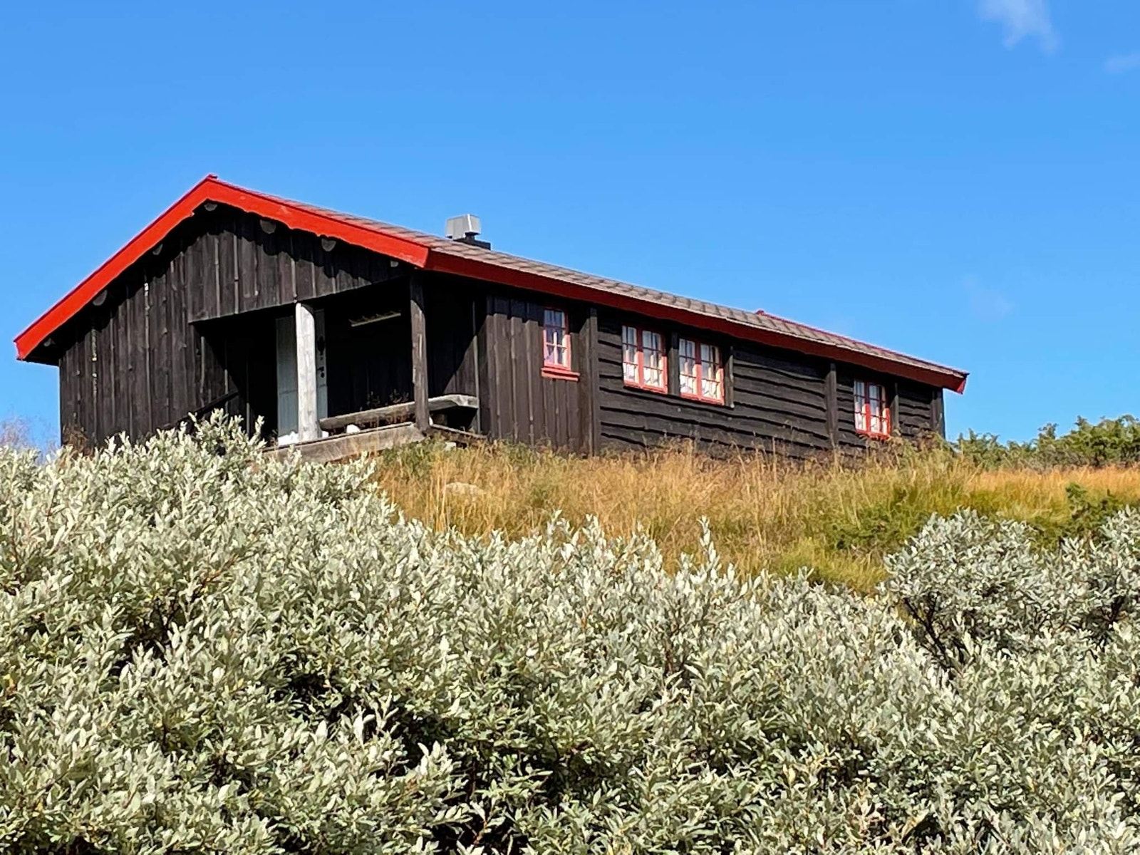 Sommerbilder hytte Galleribilde