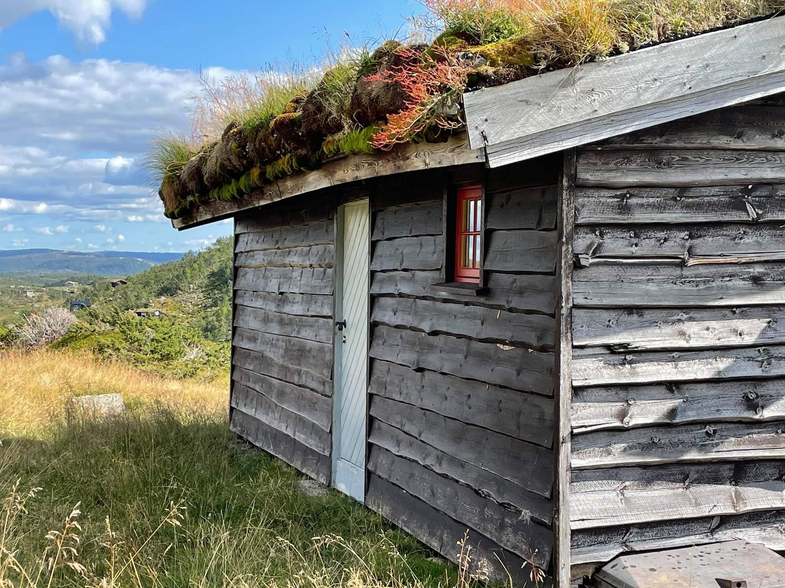 Sommerbilder støyl Galleribilde
