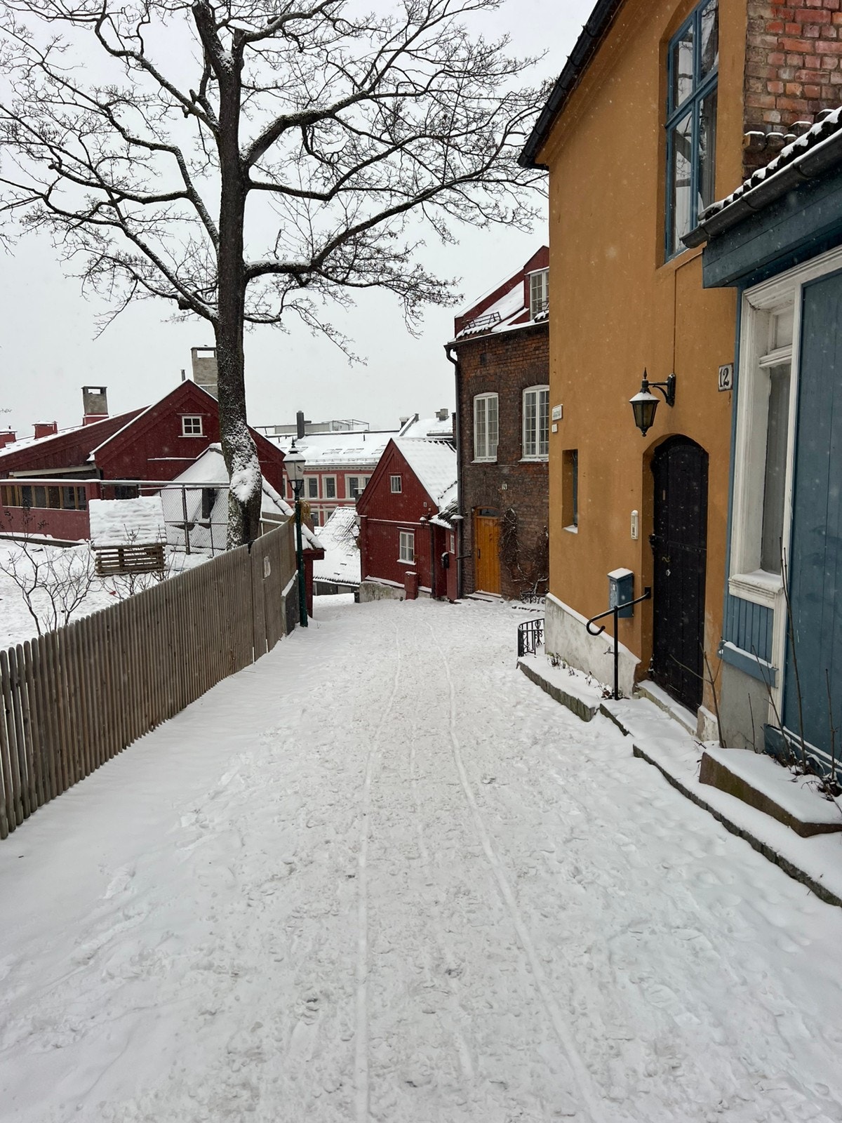 Vinter i Damstredet Galleribilde